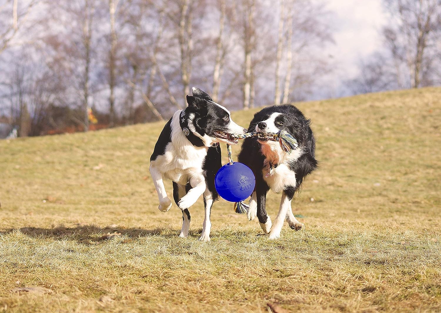 Jolly Pets Romp-N-Roll Rope And Ball Dog Toy, 8 Inches/Large, Blue, Model:608 Bl