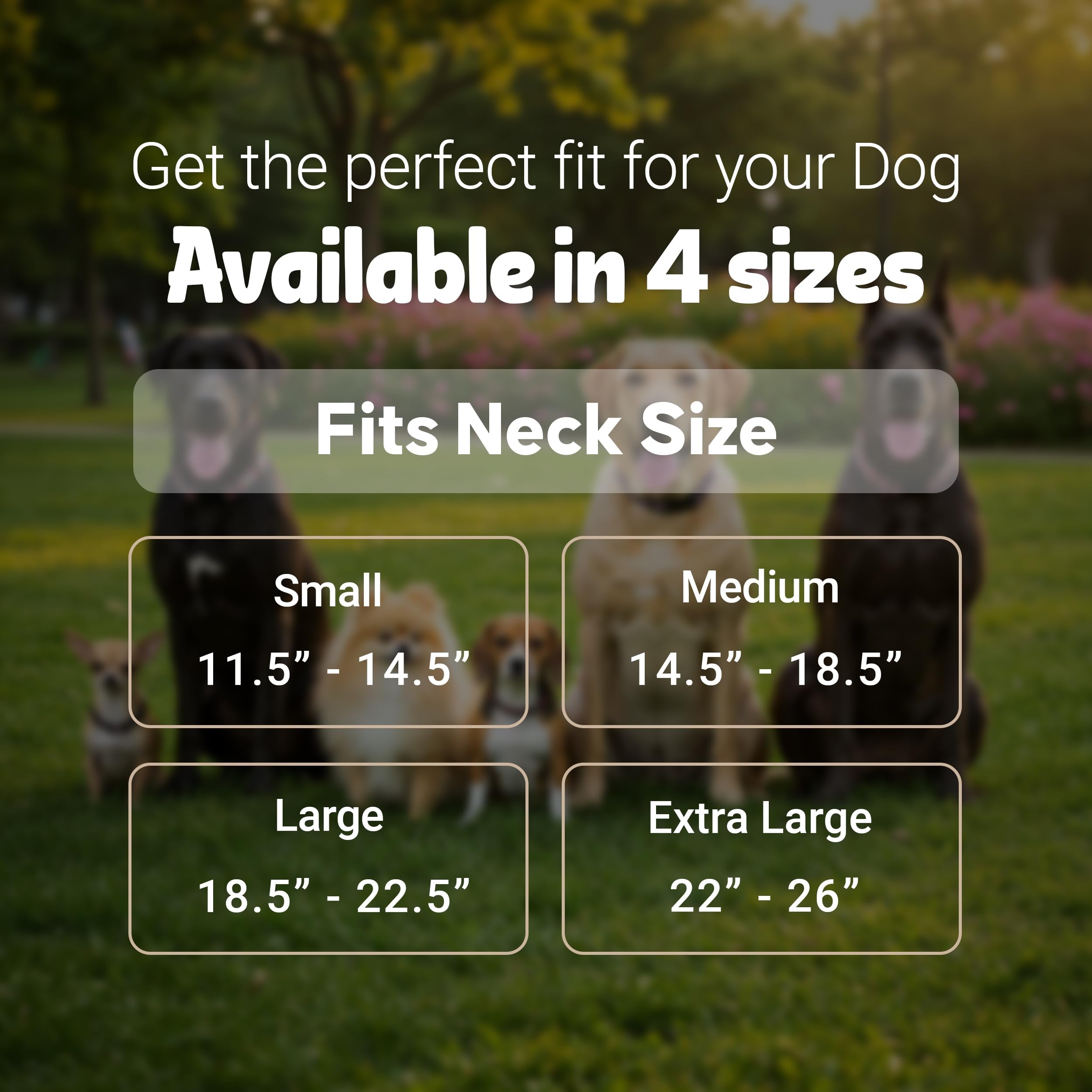 Dowgclub Premium Genuine Leather Spike Dog Collar, Crocodile Pattern, Gator Design | Full Grain, Heavy Duty, Exotic, Distinguish