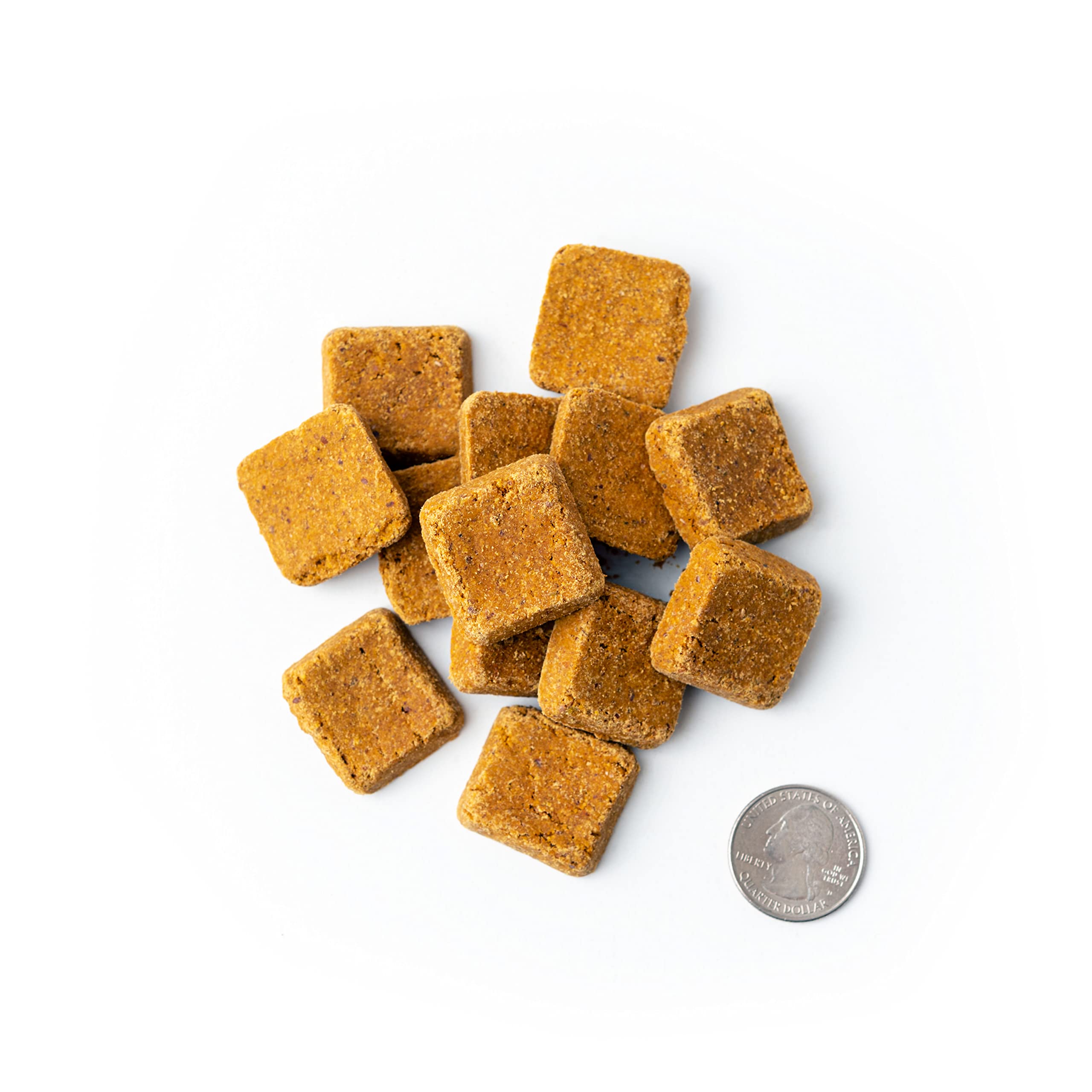Wild Earth Superfood Dog Treats, Plant Based Dog Treats with Omega Acids, Prebiotics & Koji Protein, No Fillers, Veterinarian-De