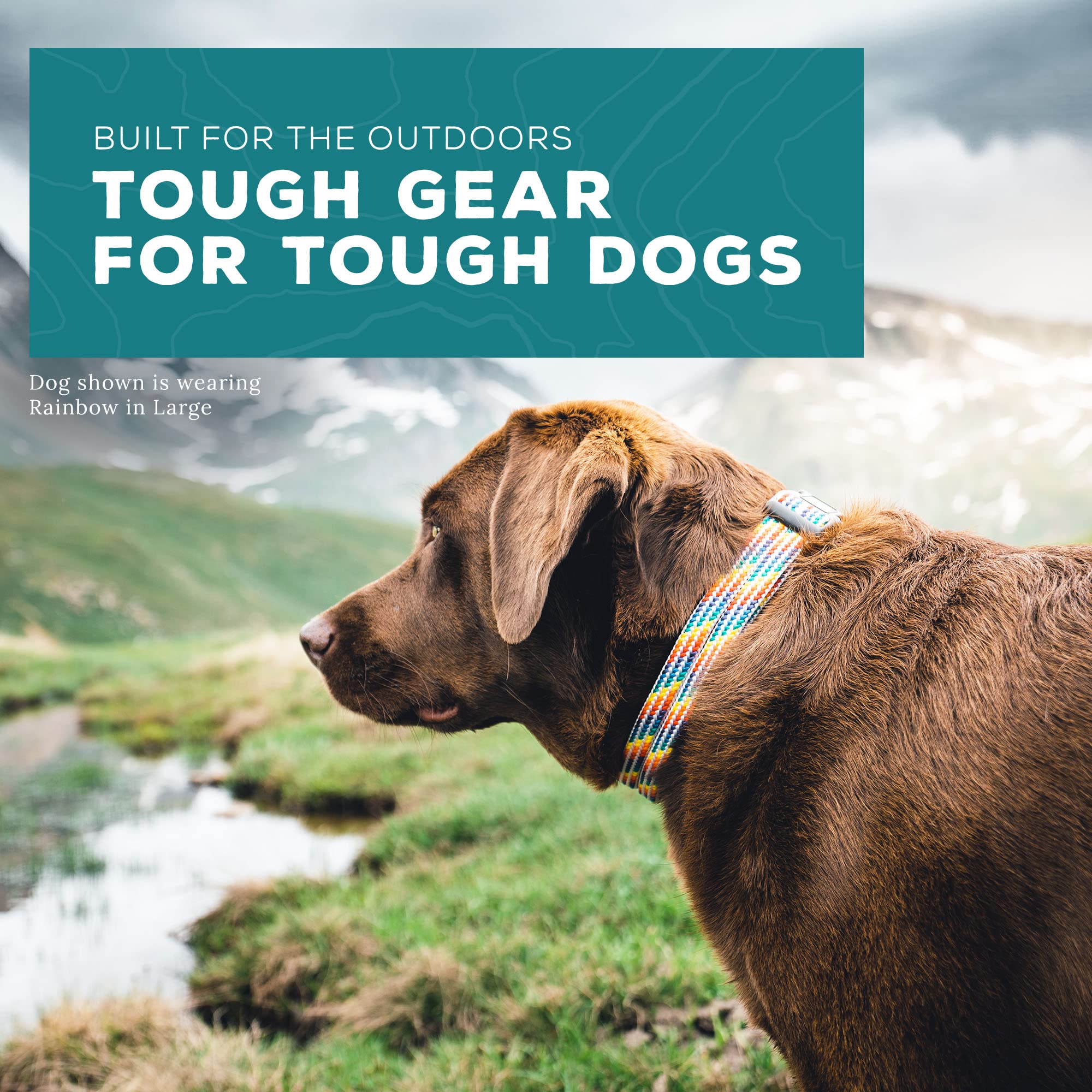 Wilderdog Climbing Rope Dog Collar - Outdoor Durable Climbing Rope Design With Heavy-Duty Secure Hardware For Safety - Adjustable To Fit 13'-18' Around With A 1' Band - Medium - Rainbow
