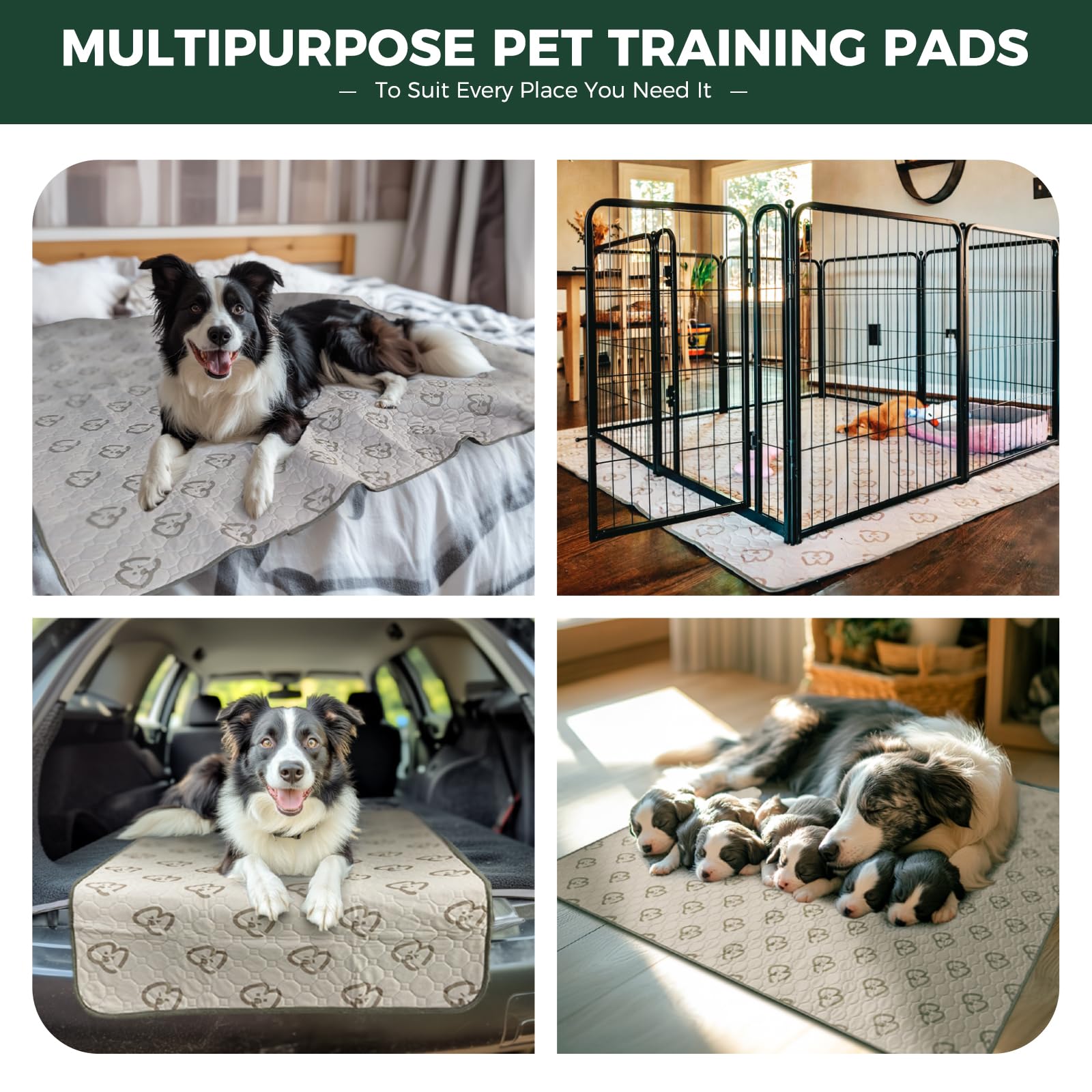 Fxw Washable Pee Pads For Dogs, Puppy Pads With Super Absorbent, Specifically Designed For Whelping Box, Round, 36'' X 36'', 2 P