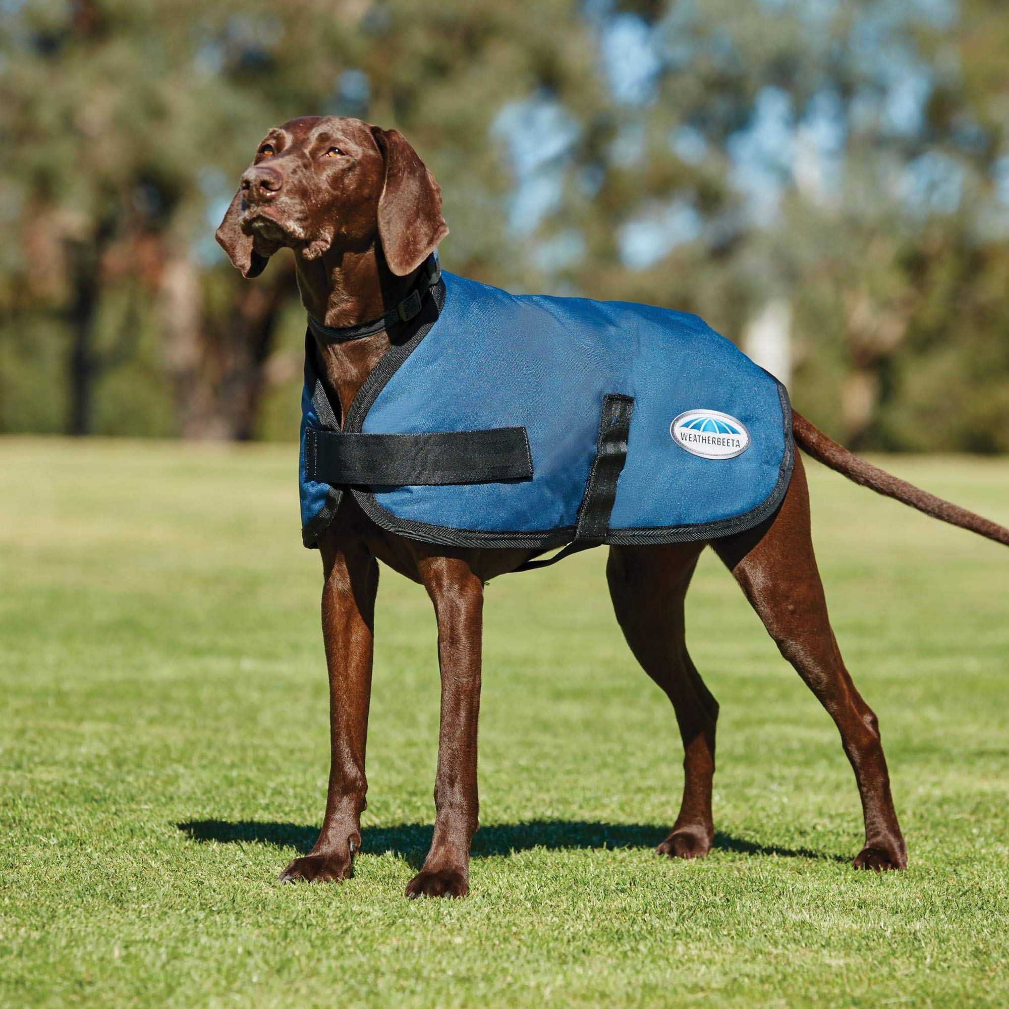 Weatherbeeta Comfitec Classic Dog Coat, Dark Blue, 10'