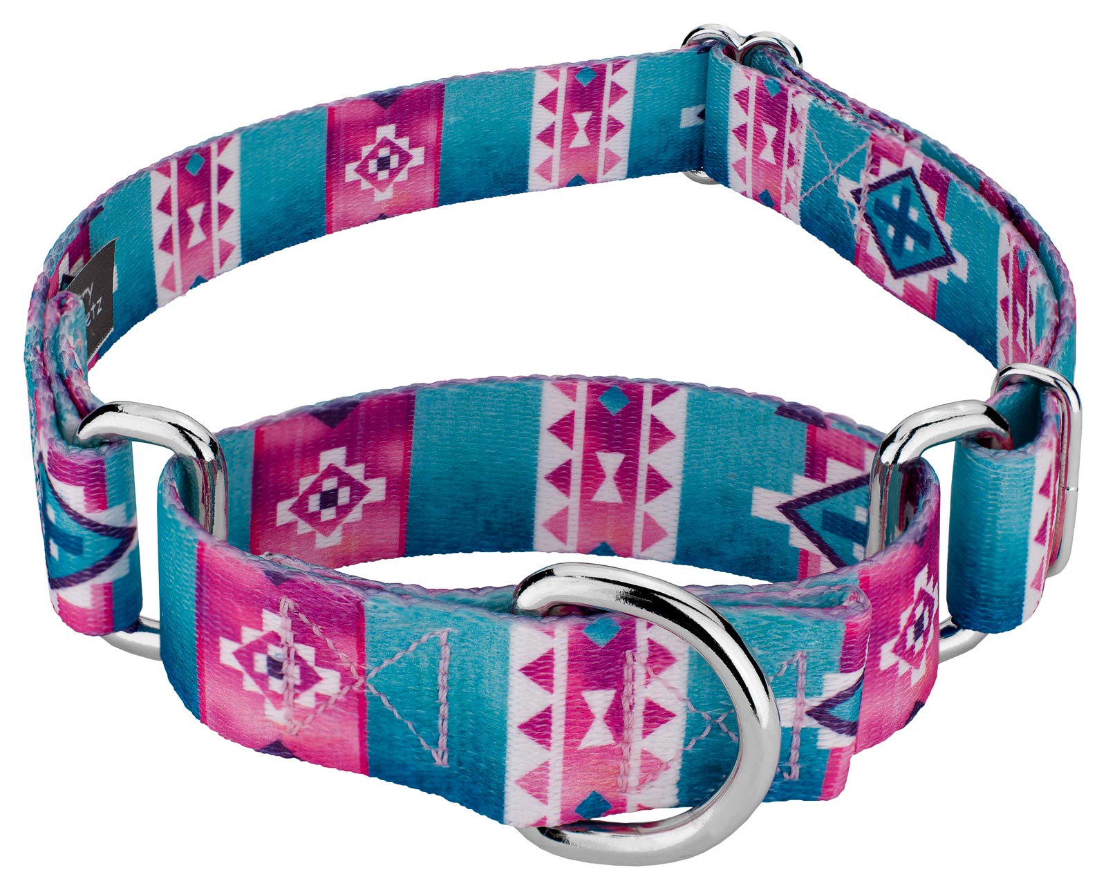 Country Brook Petz - Albuquerque Martingale Dog Collar - Country And Western Collection Featuring Rustic Designs (1 Inch, Large)