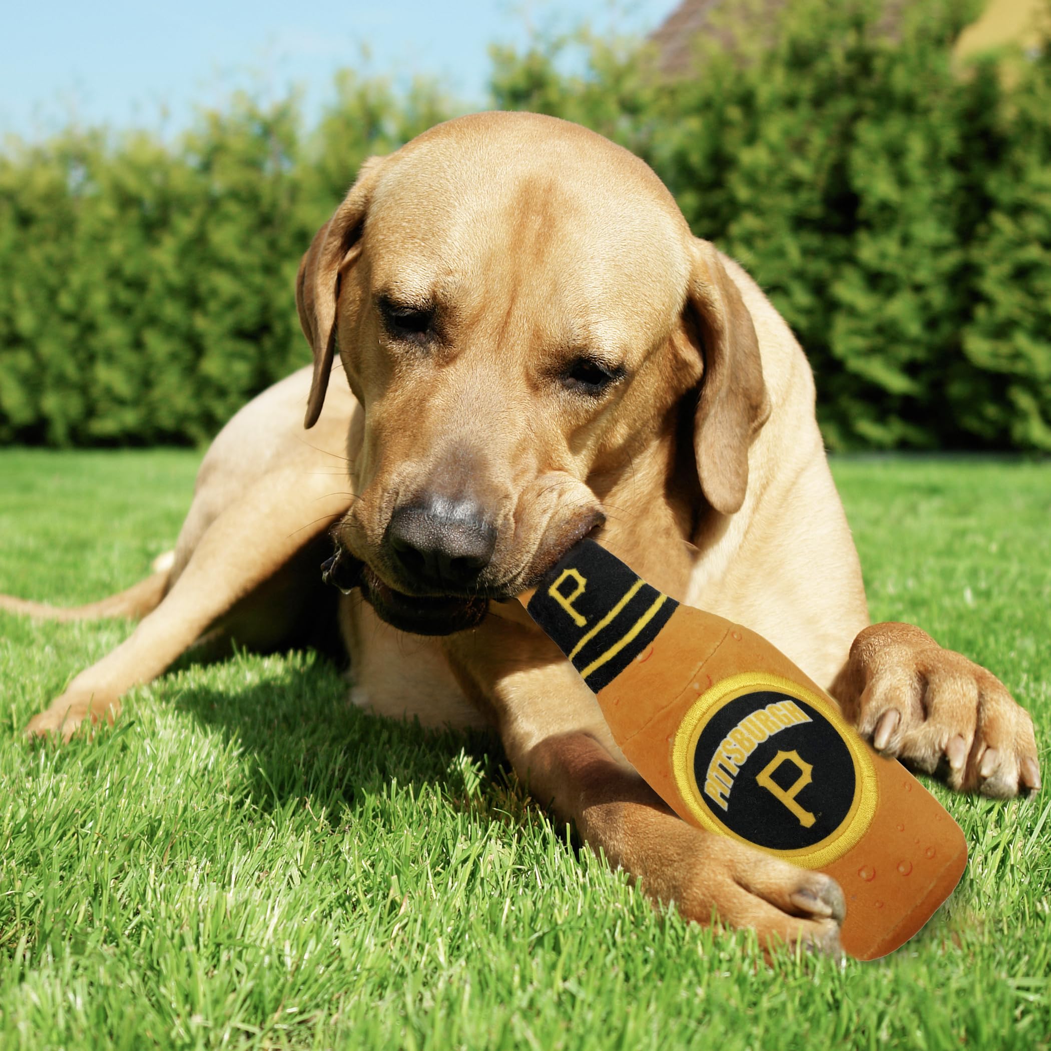 Mlb Pittsburgh Pirates Stadium Beer Bottle Plush Dog Toy-Cutest Plush Toy For Dogs & Cats With Inner Squeaker & Premium Embroide