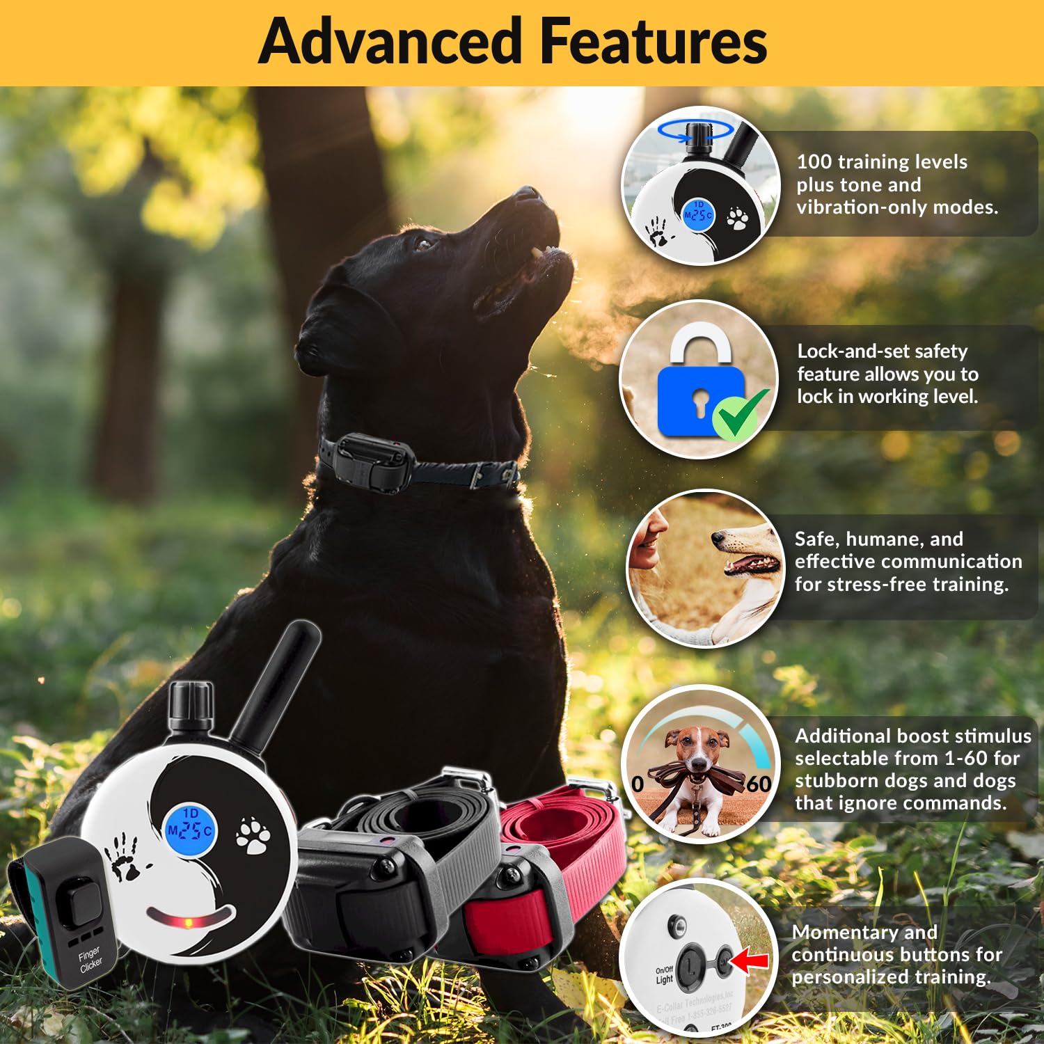 Mini Educator E-Collar Remote Dog Training Collar, Waterproof, 100 Levels, Vibration, Light, Sound, For 2 Dogs, Model ZEN-302, Zen Color