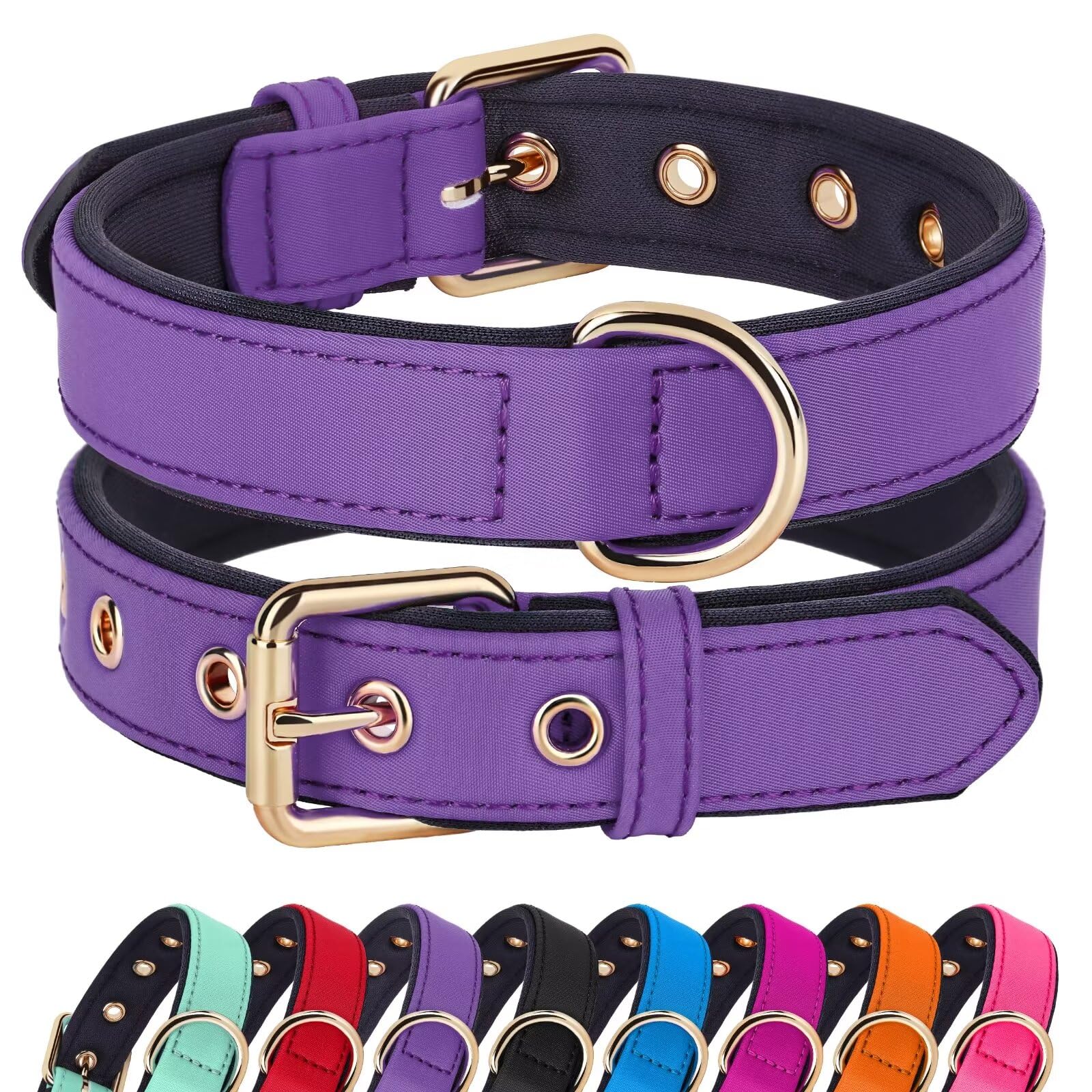 Didog Soft Padded Dog Collars For Small Dogs, Lightweight And Breathable Dog Collar Waterproof With Metal Buckle For Puppy, Purp