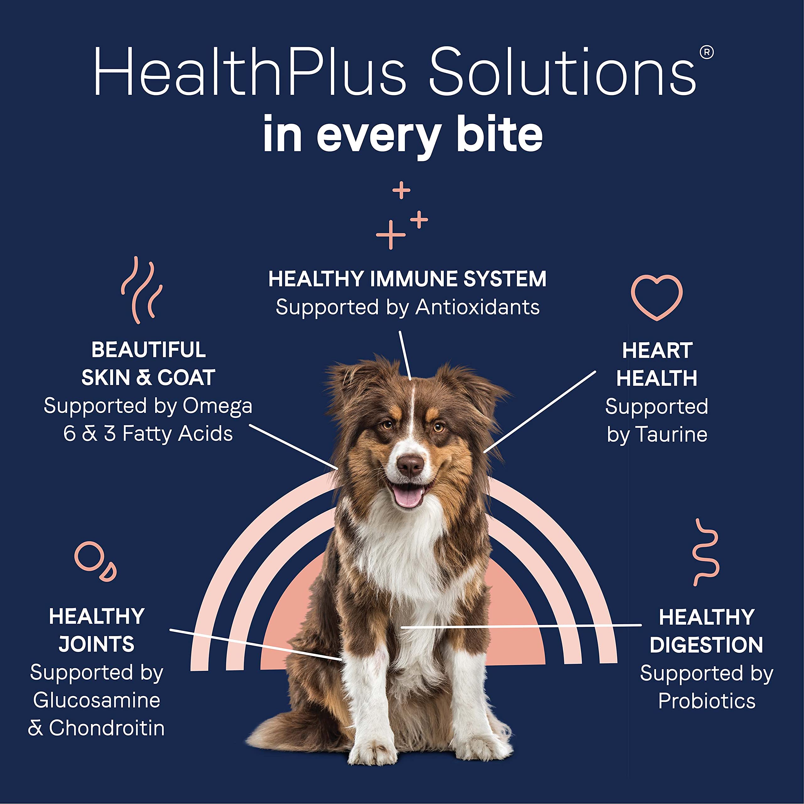 CANIDAE Pure Limited Ingredient Premium Adult Dry Dog Food, Real Beef & Barley Recipe, 4 lbs, with Wholesome Grains