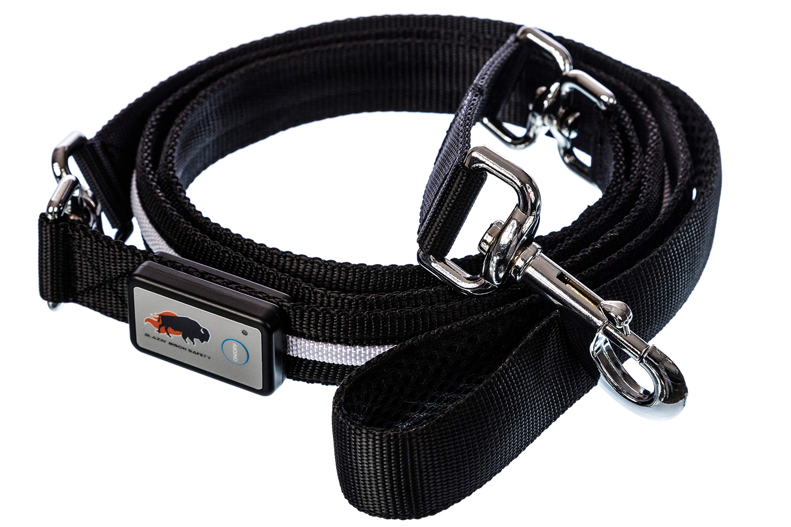 Blazin' Safety Led Dog Leash - Usb Rechargeable Flashing Light, 6 Ft, Water Resistant - Avoid Danger - Blue