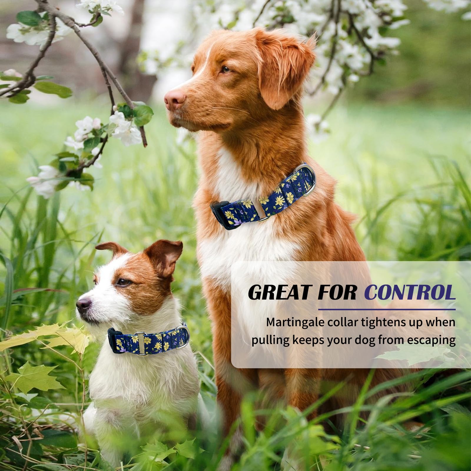 Hikiko Martingale Collar For Dogs Cute Floral Dog Collar For Small Medium Large Dogs Anti Pull Quick Release Buckle Dog Collars