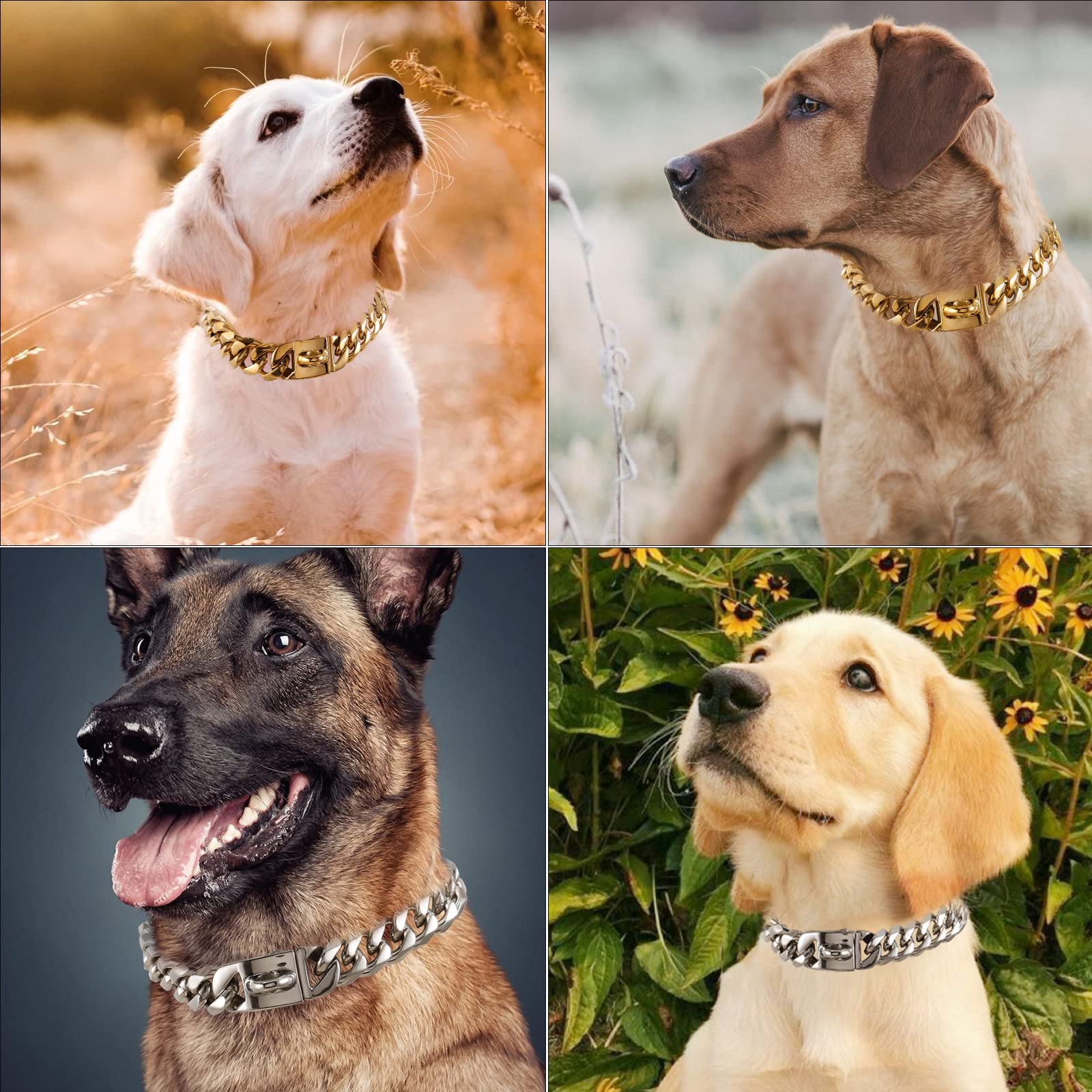 Captainsteel Stainless Steel Cuban Dog Collar, 19Mm Wide Medium/Large Dog Neck Chain - Length 15/16/18/20/22/24/26 Inch, Gold Plated/Stainless Steel Heavy Duty Dog Collar