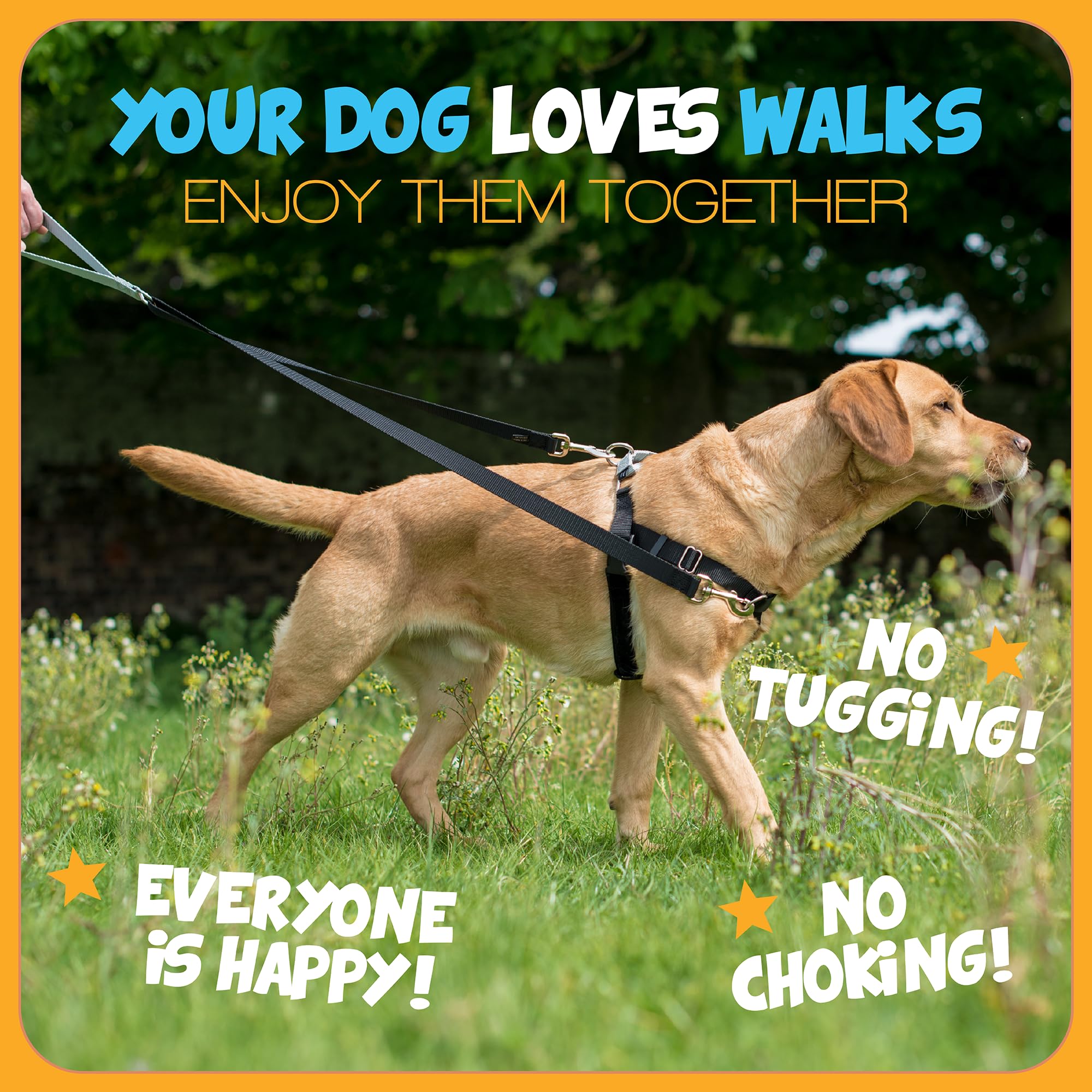 2 Hounds Design - Freedom No-Pull Harness & Training Leash In Multi-Color | Dual Leash Loops, No Pulling On Walks | Lined To Pre