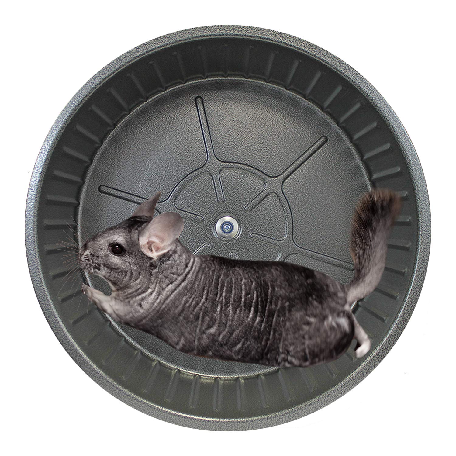 15'' Chin-Sprint : All-Metal Durable, Fast Exercise Wheel - For Chinchillas, Prairie Dogs, Rats, Degus, Hedgehogs, Opossums & Ot