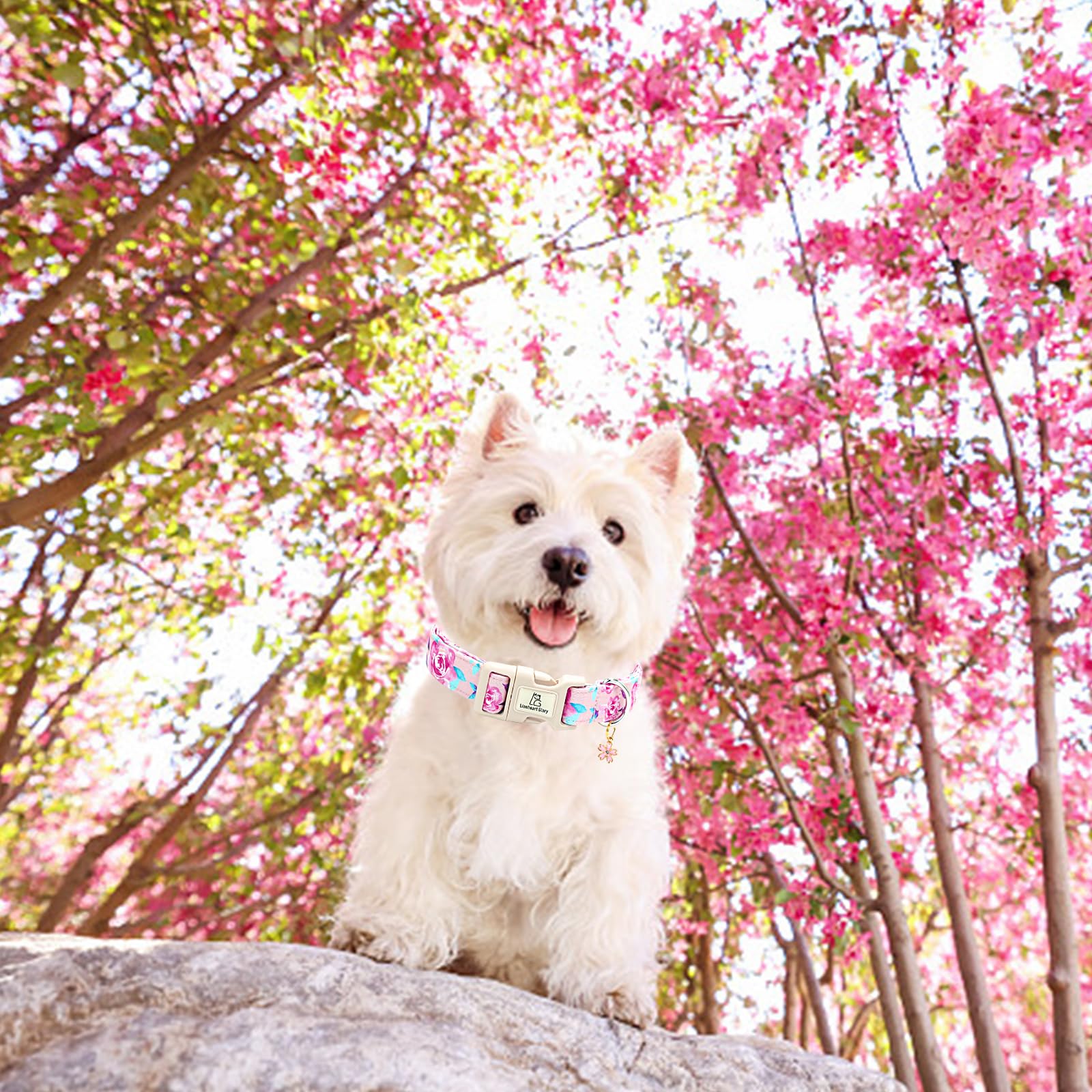 Lionheart Glory Dog Collar Floral Pattern Cute Collar For Small Dogs Spring Summer Female Or Male Collars Pets Gift Adjustable H