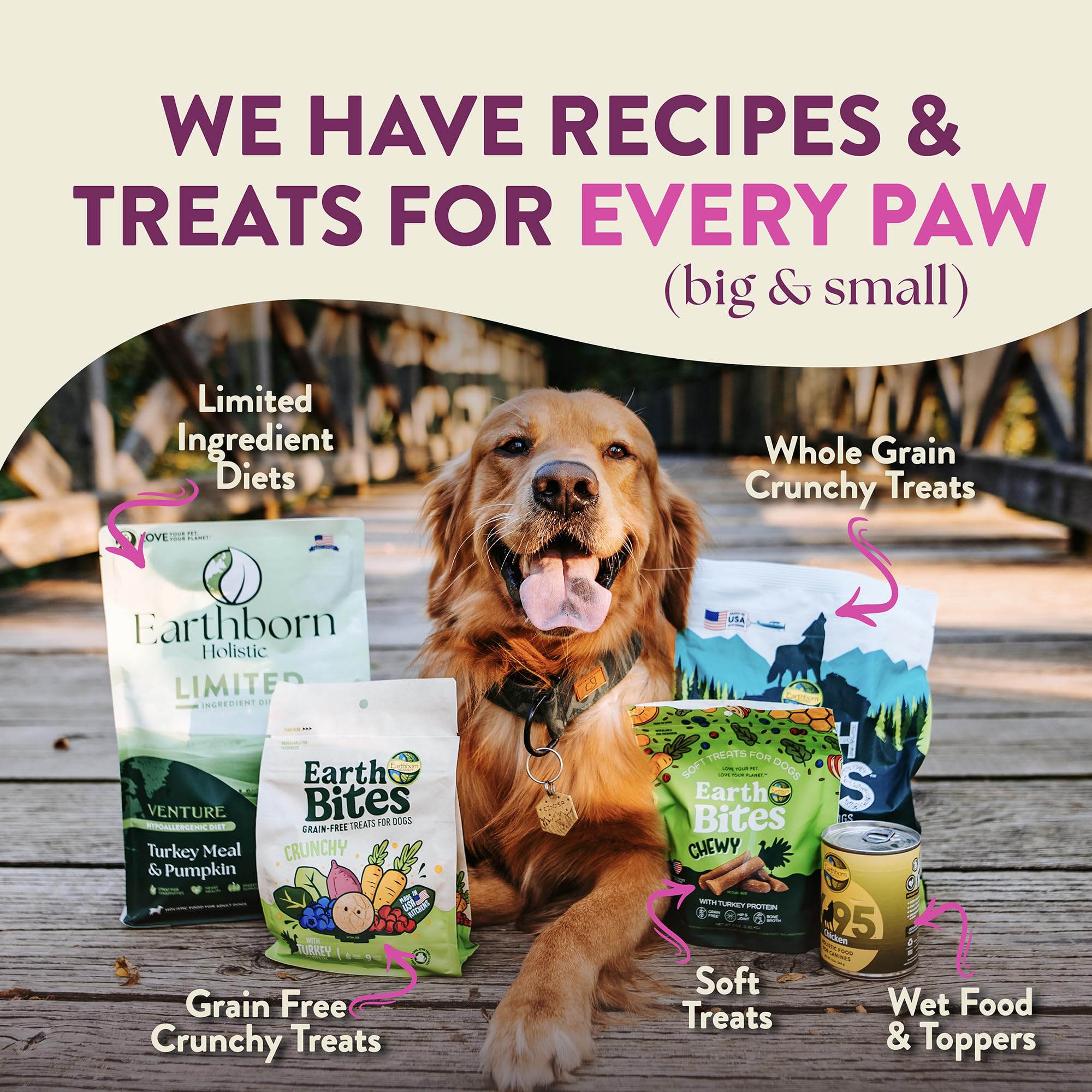 Earthborn Holistic Meadow Feast Grain-Free Dry Dog Food, Lamb Meal & Vegetables, 25 lb, Brown