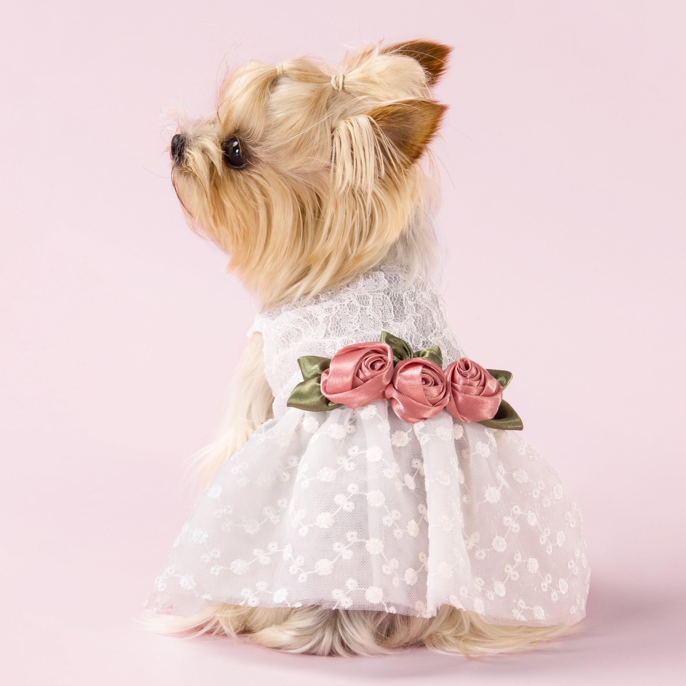 Fitwarm Luxury Rose Lace Pet Dog Weddding Dress Bride Clothes Formal Apparel, Small