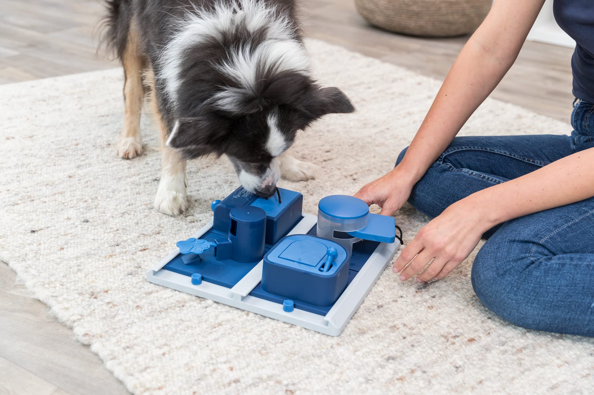 TRIXIE Poker Box 2 Strategy game, Advanced Dog Puzzle Toy, Level 3 Activity, Treat Puzzle, Interactive Play, Enrichment