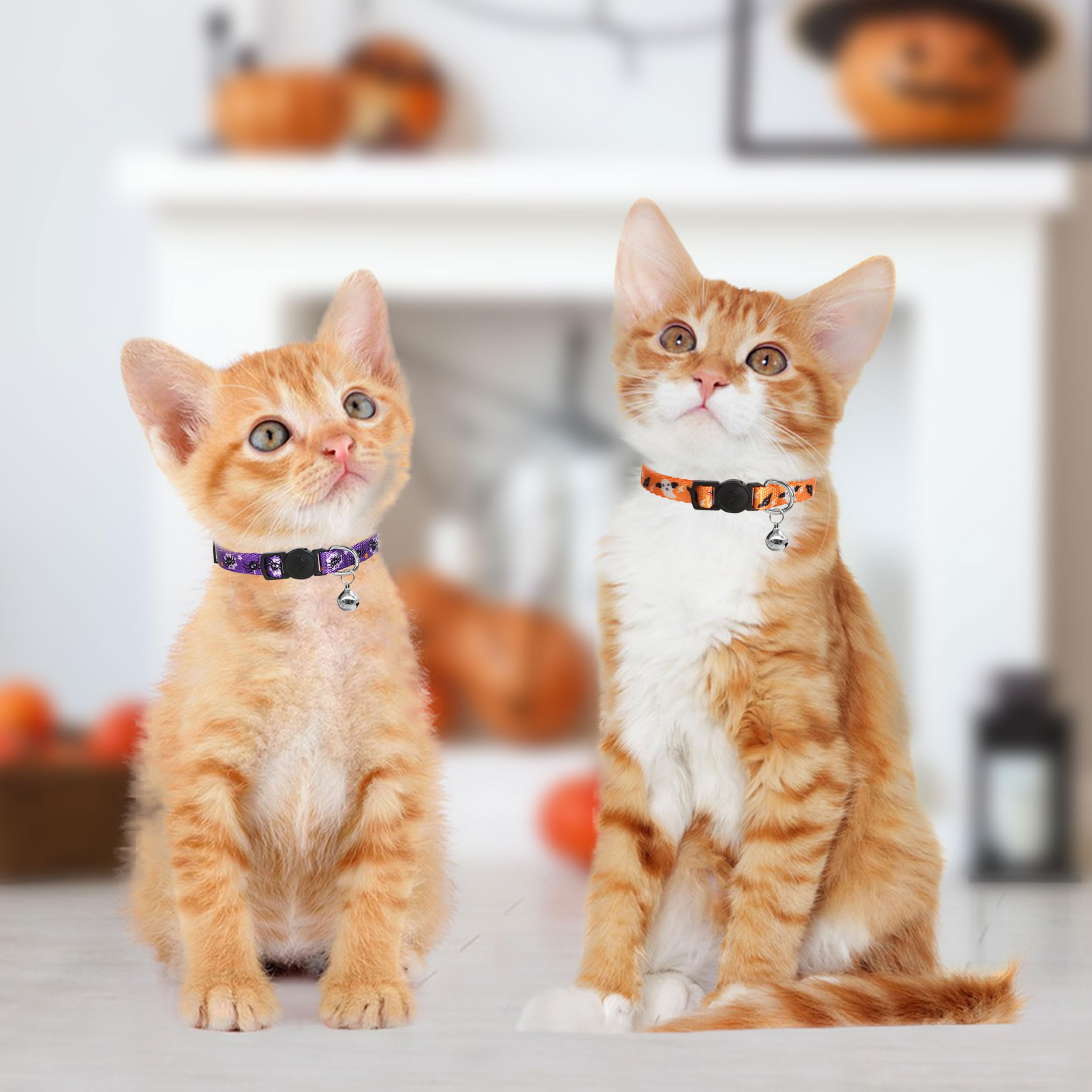 Azuza 4 Pack Halloween Kitten Collars Breakaway With Bells, Adjustable Cat Collars With Safety Buckle,Adjustable From 6'-8', Skull And Crossbones,Ghosts, Spider And Pumpkin Prints