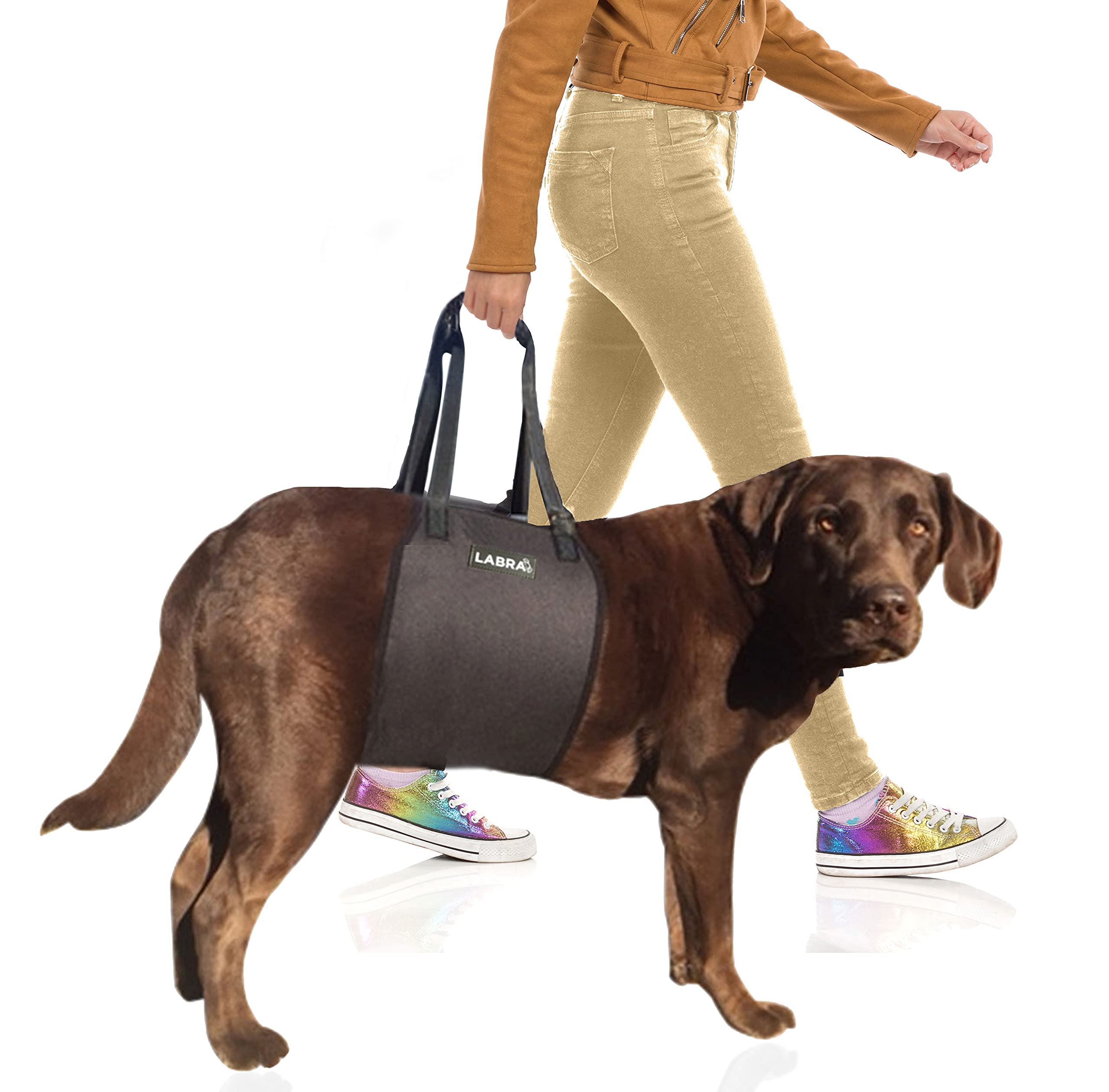 Labra Veterinarian Approved Dog Canine K9 Sling Lift with Adjustable Straps  Support Harness for Loss of Stability Caused by Jo