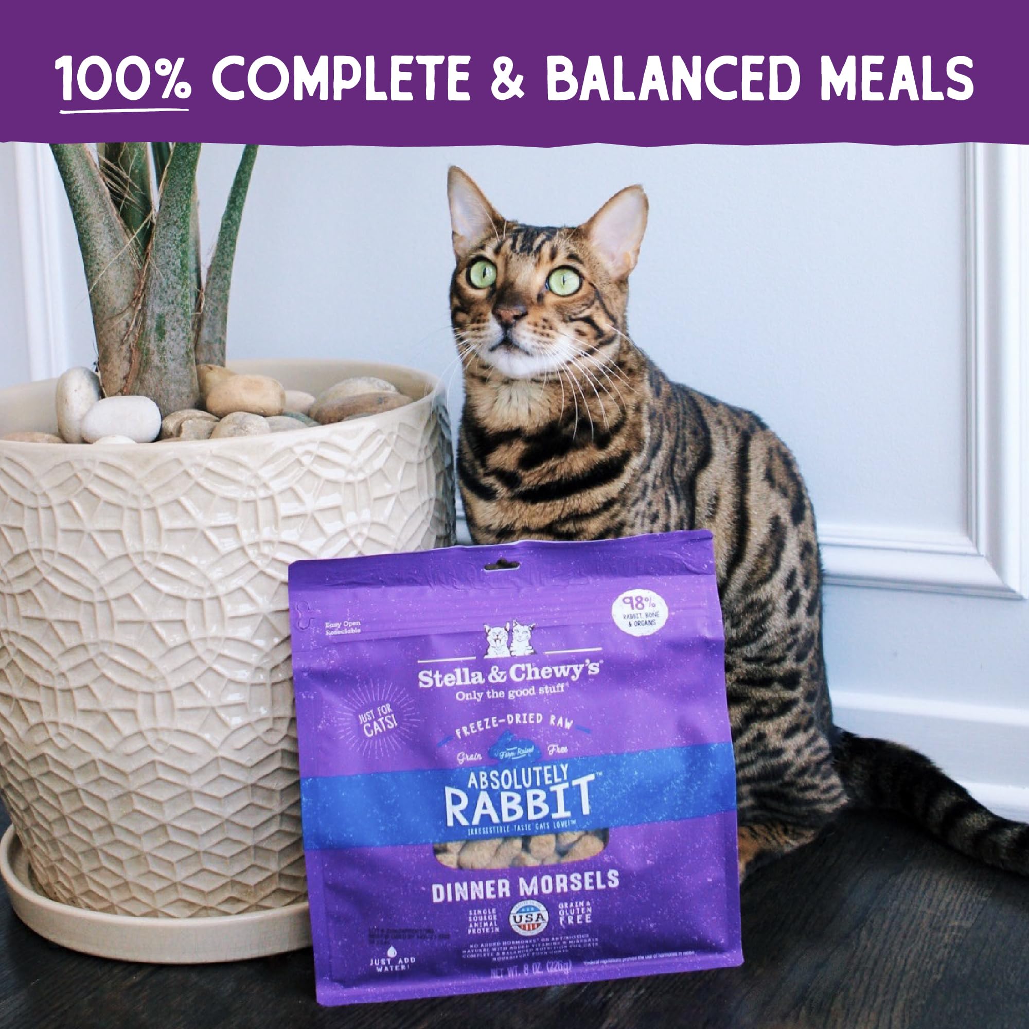 Stella & Chewys Freeze-Dried Raw Cat Dinner Morsels - Grain Free, Protein Rich Cat & Kitten Food - Absolutely Rabbit Recipe - 3
