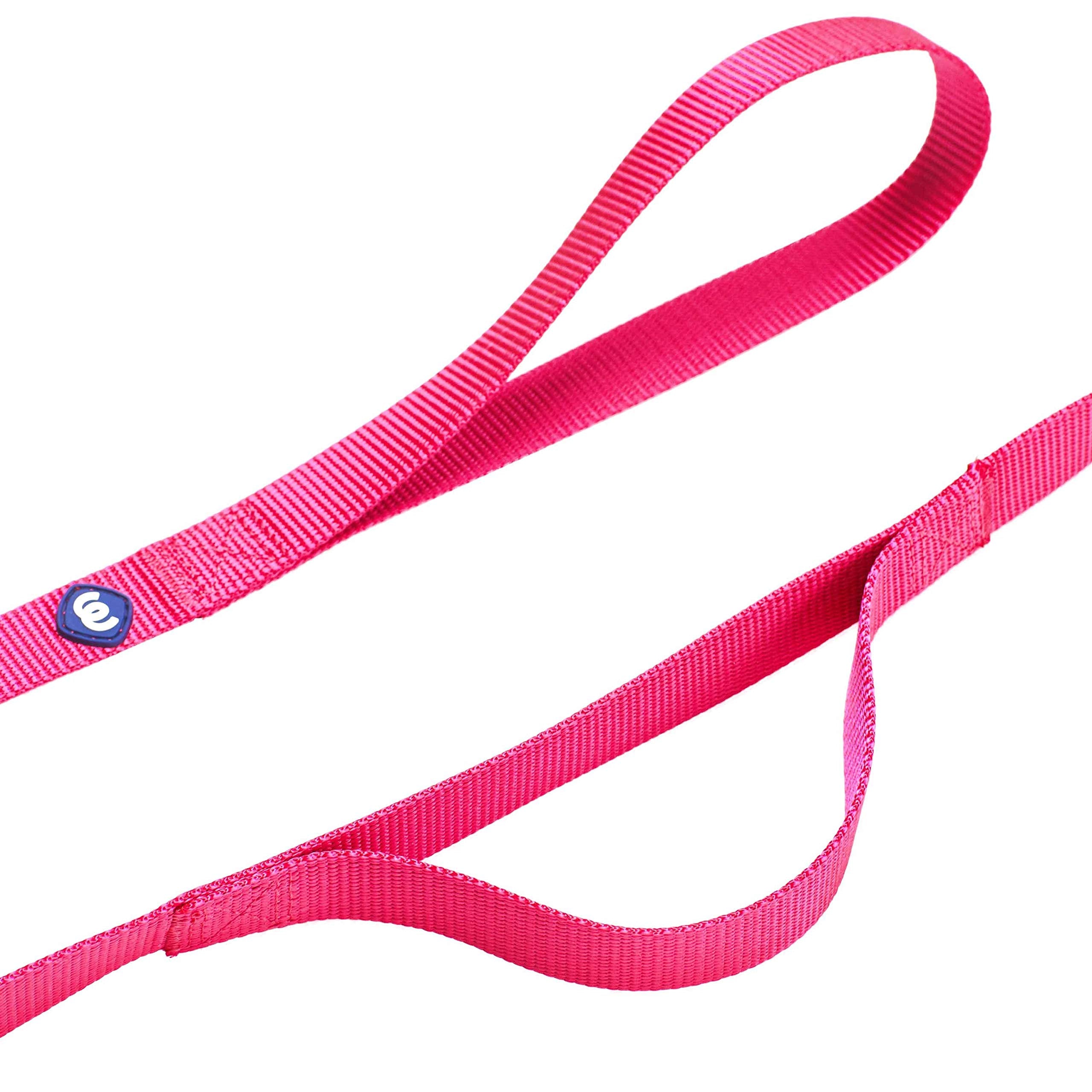 Blueberry Pet Essentials Durable Classic Dog Leash 4 Ft X 1', French Pink, Large, Double Handle Leashes For Dogs