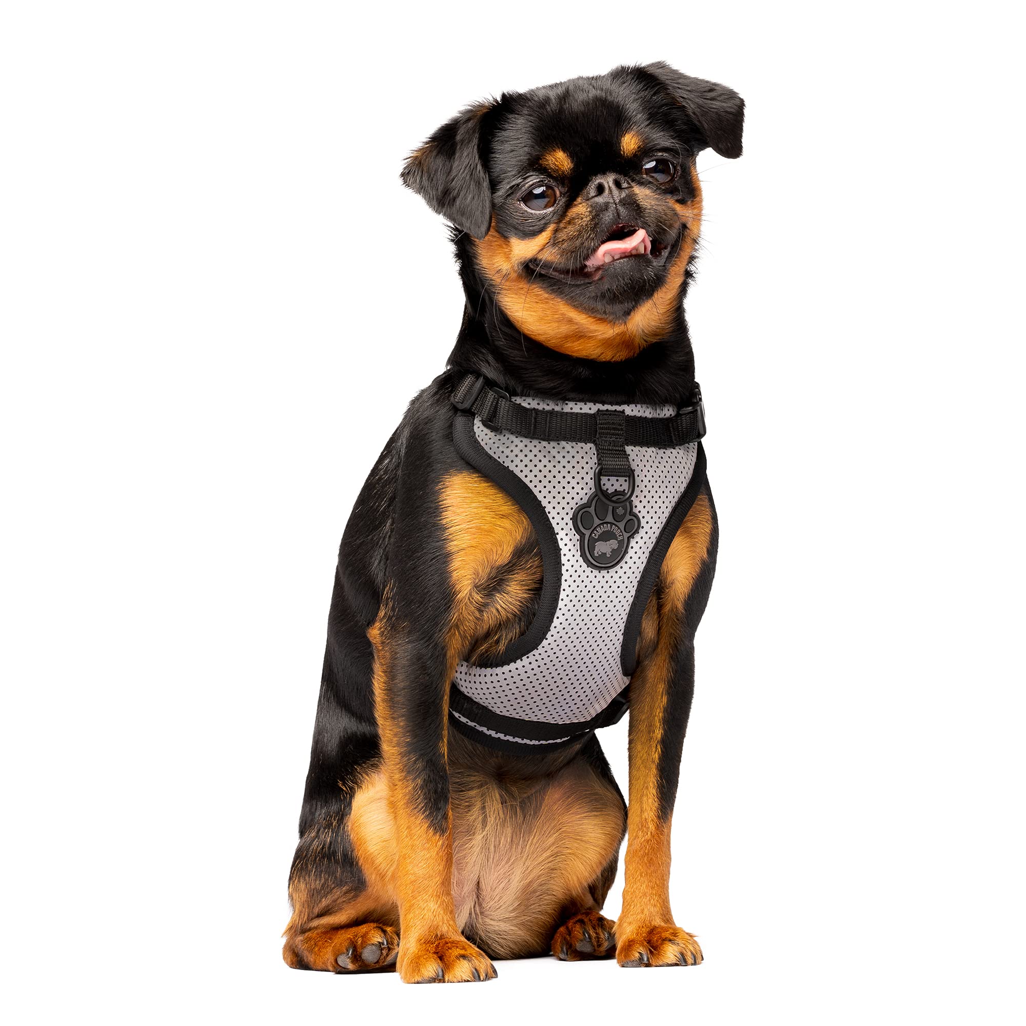 Canada Pooch Everything No Pull Dog Harness - Easy Walk Harness For Dogs With Breathable Mesh Exterior, Adjustable Dog Walking Harness Great For Dogs Reflective/M