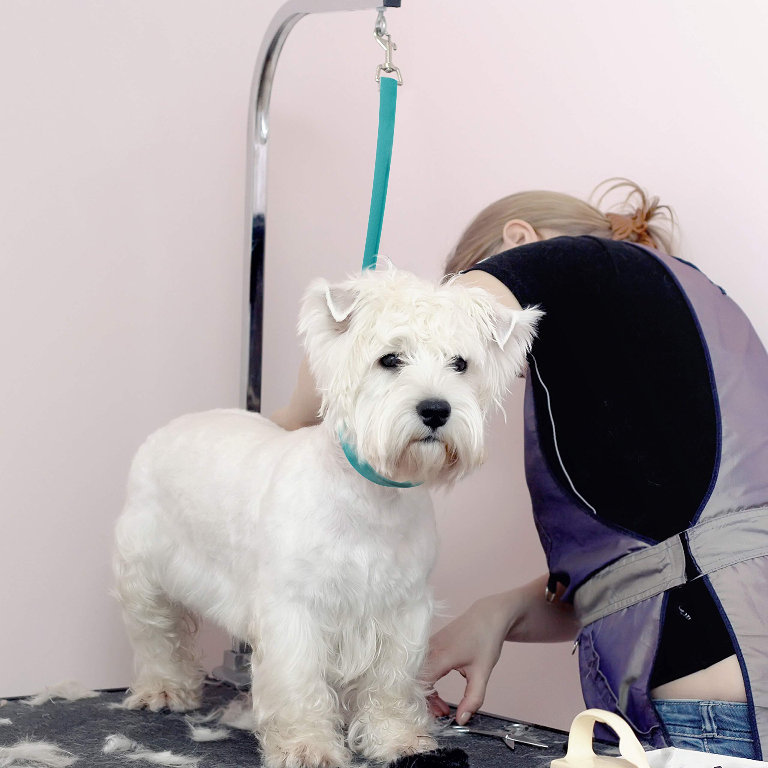 Jelly Pet Grooming Loop Slip Style (1/2' X 30', Royal Blue) | Made In The Usa