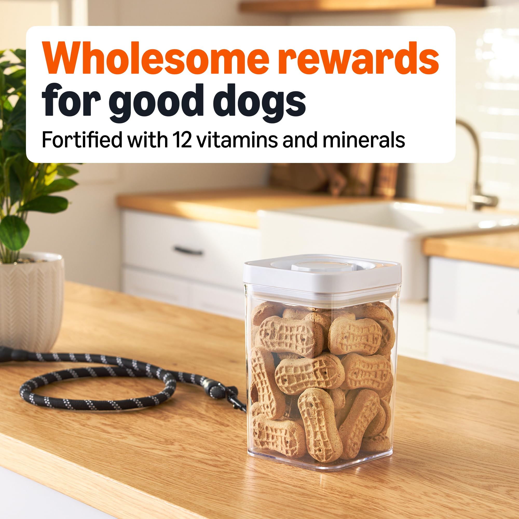 Amazon Basics Peanut Butter Flavor Biscuits Dog Treats 5 lb. Box