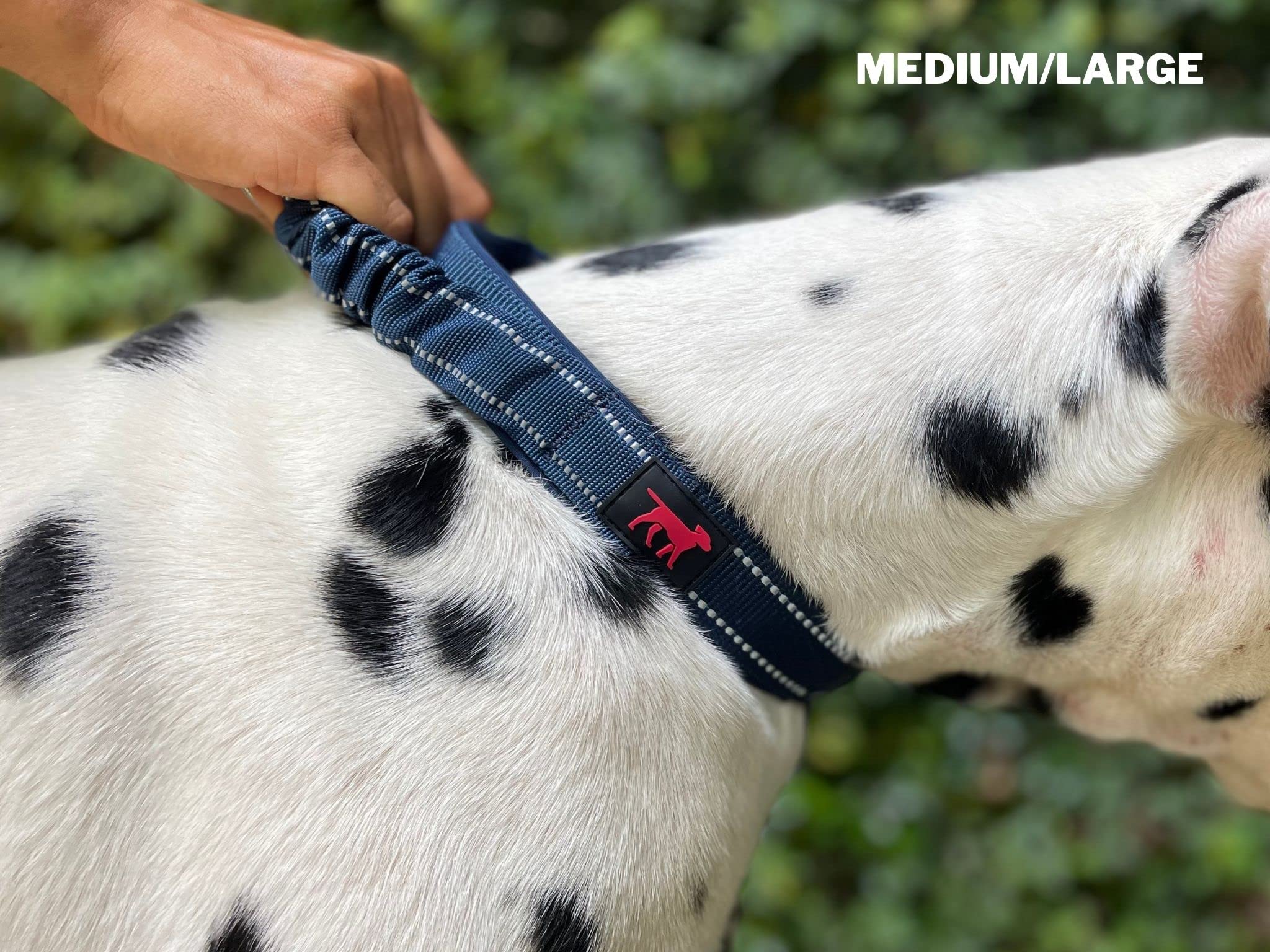 Heavy Duty Dog Collar With Handle | Ballistic Nylon Heavy Duty Collar | Padded Reflective Dog Collar With Adjustable Stainless Steel Hardware | Convenient Sizing For All Breeds