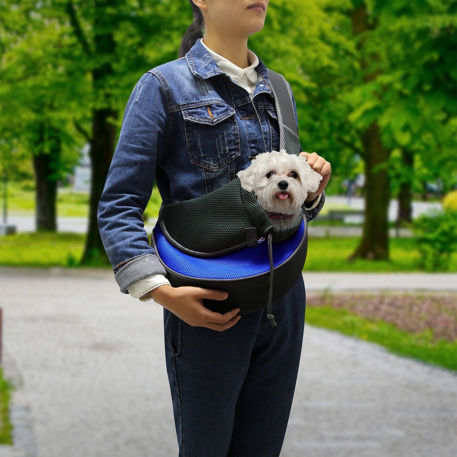 HG PetPuppyCarrier(Blue L) GPCT1096