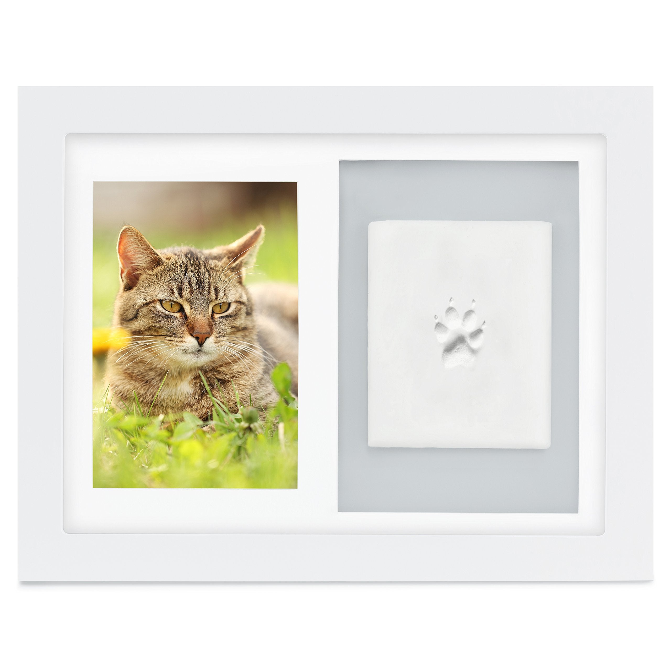 Better World Pets Paw Print + Photo Keepsake Frame Holds 4 X 6 Inch Picture  Memorial Clay Imprint Kit  For Dogs And Cats  Perfect For Pet Lovers  Wall Mount, White