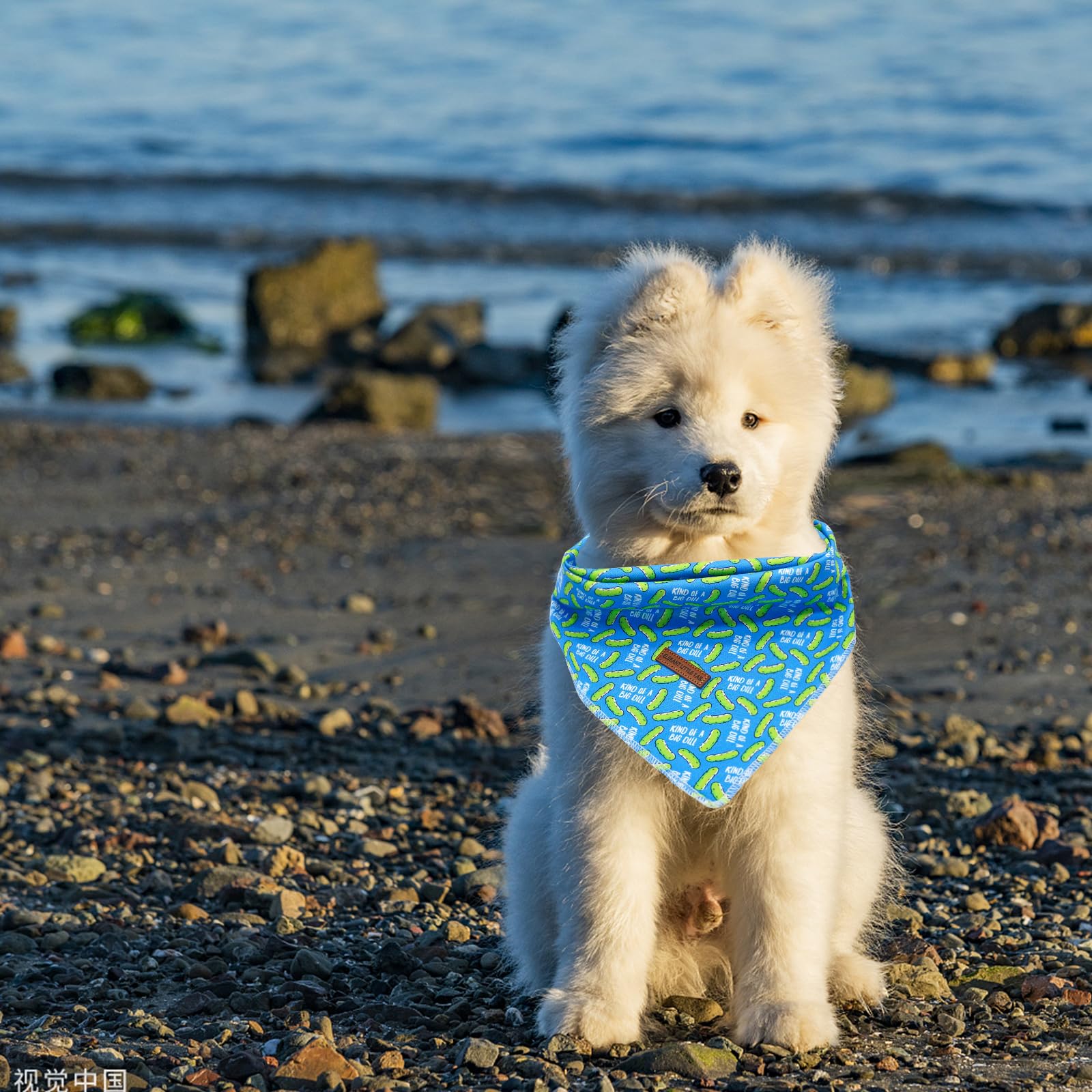 Elegant Little Tail Dog Bandana - Dill Pickles Print Pet Birthday Gift, Boy Bibs Scarf, Soft Adjustable Square Kerchief For Larg