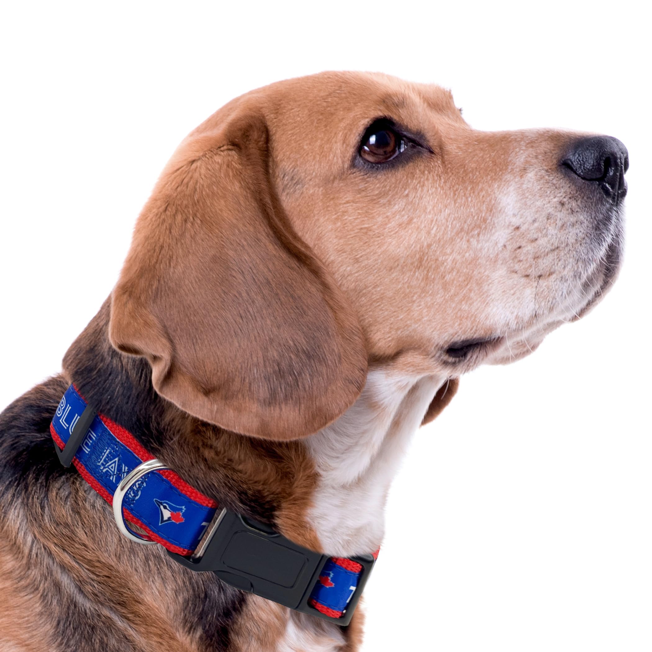 Mlb Pet Toronto Blue Jays Dog Collar, Small - Baseball Team Collar For Dogs & Cats - Shiny & Colorful, Licensed By The Mlb