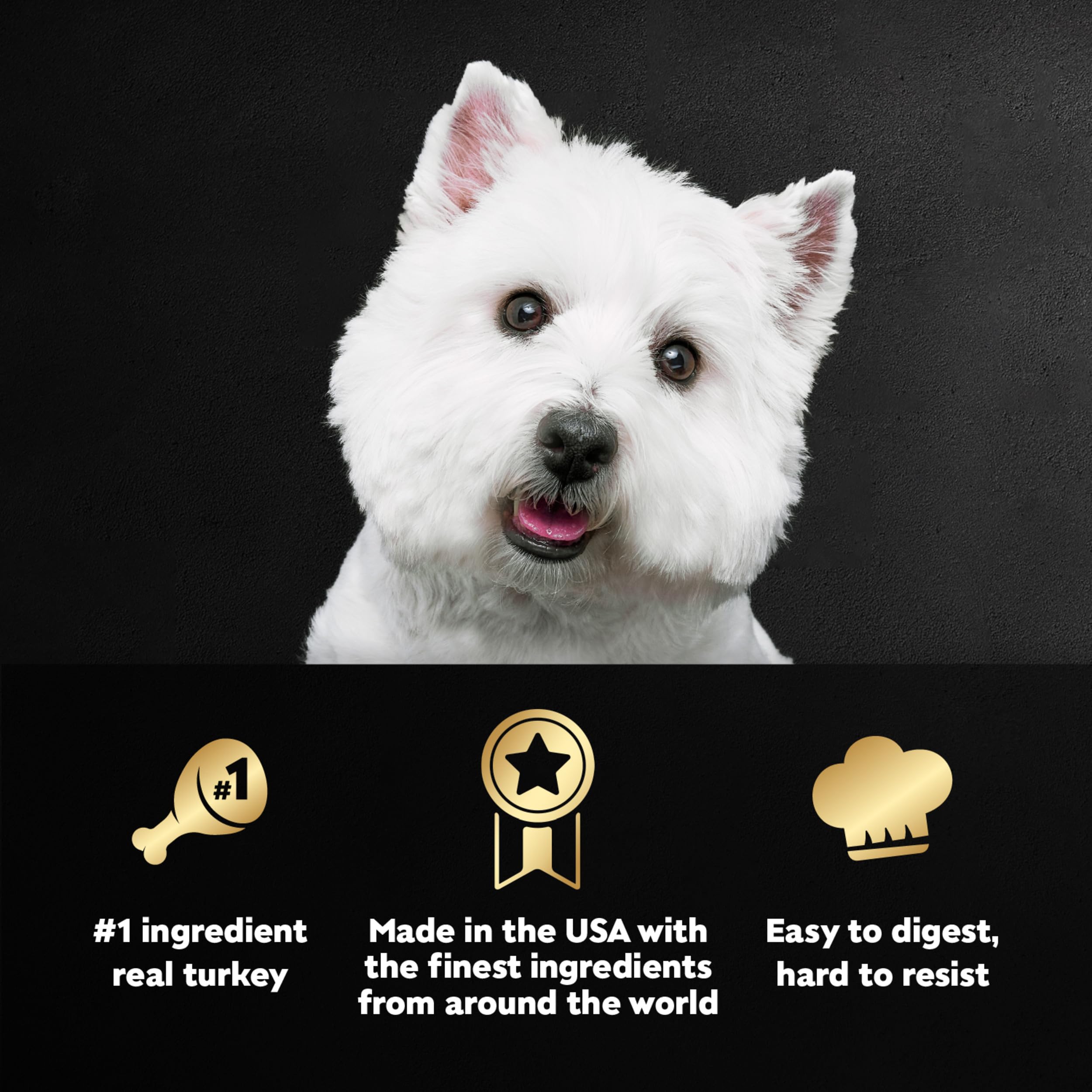 Cesar Filets in Gravy Adult Wet Dog Food, Turkey Recipe, 3.5 oz. (24 Count, Pack of 1)