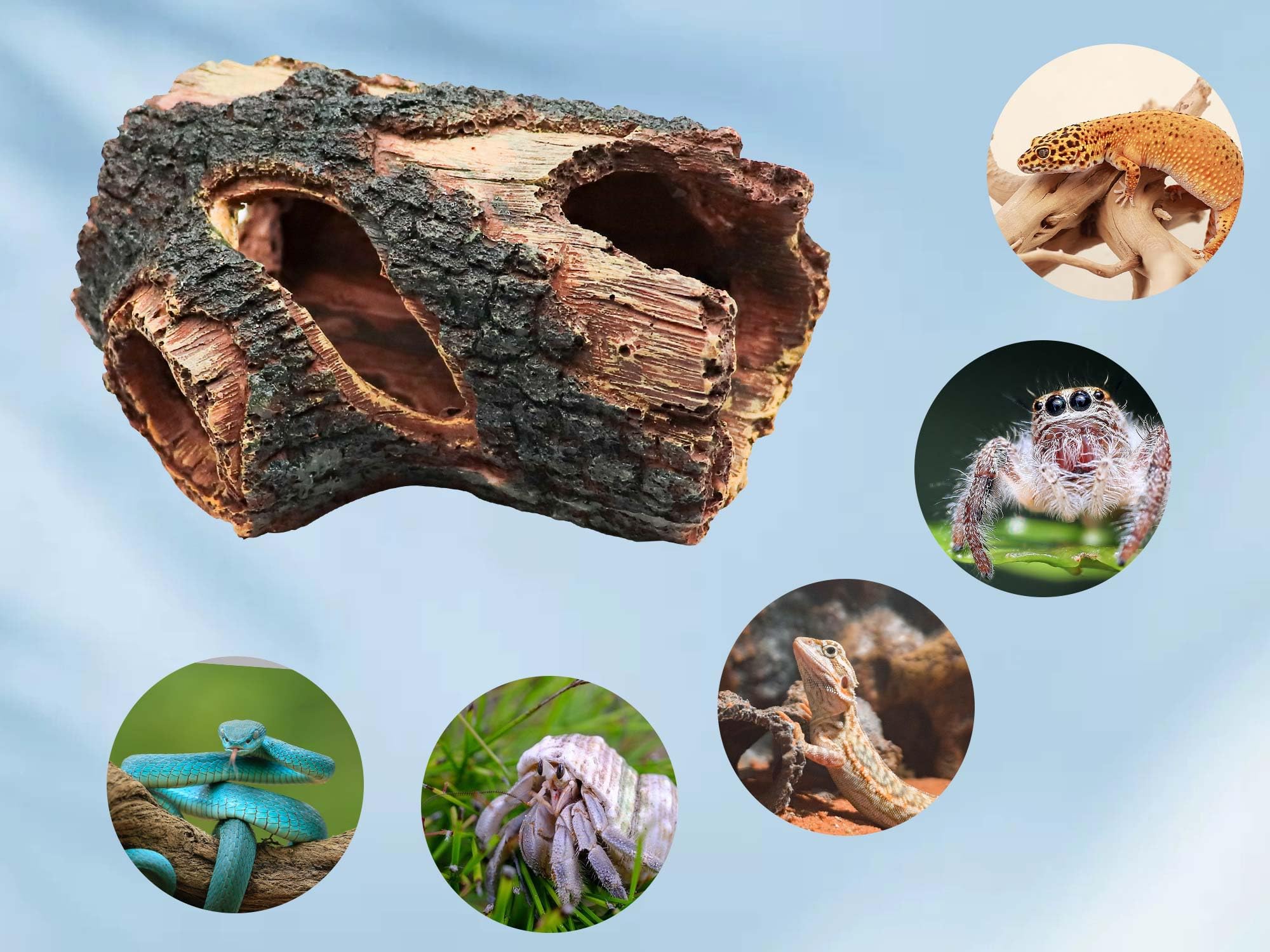 Resin Simulation Tree Hideout, Reptile Tank Accessories, Hermit Crab Climbing Toy, Terrarium Habitat Decor for Hermit Crab, Spid