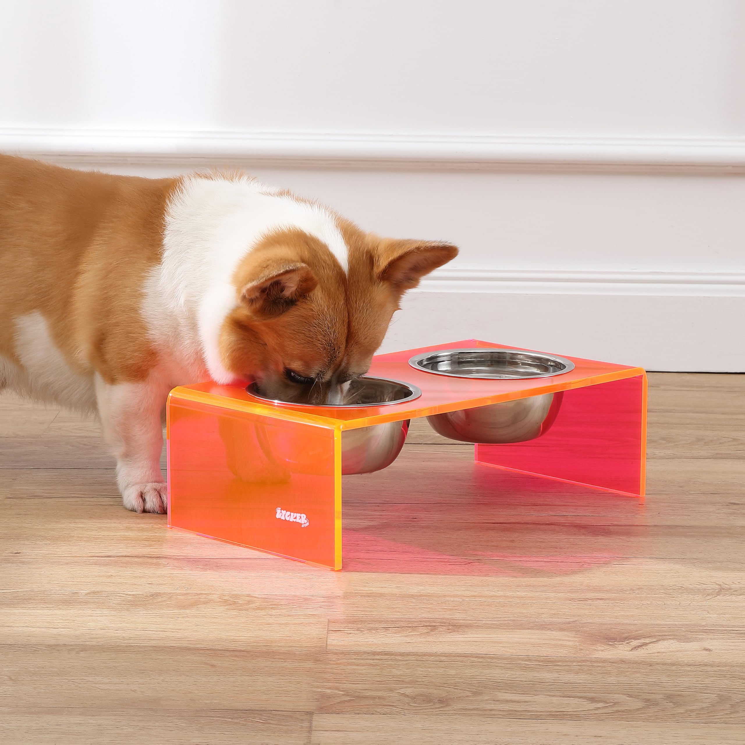The LICKER Store DBL2000E Keaton 5 Small/Medium Modern Acrylic Rectangular Elevated Pet Feeder with 20oz 2-Stainless Steel Bowls