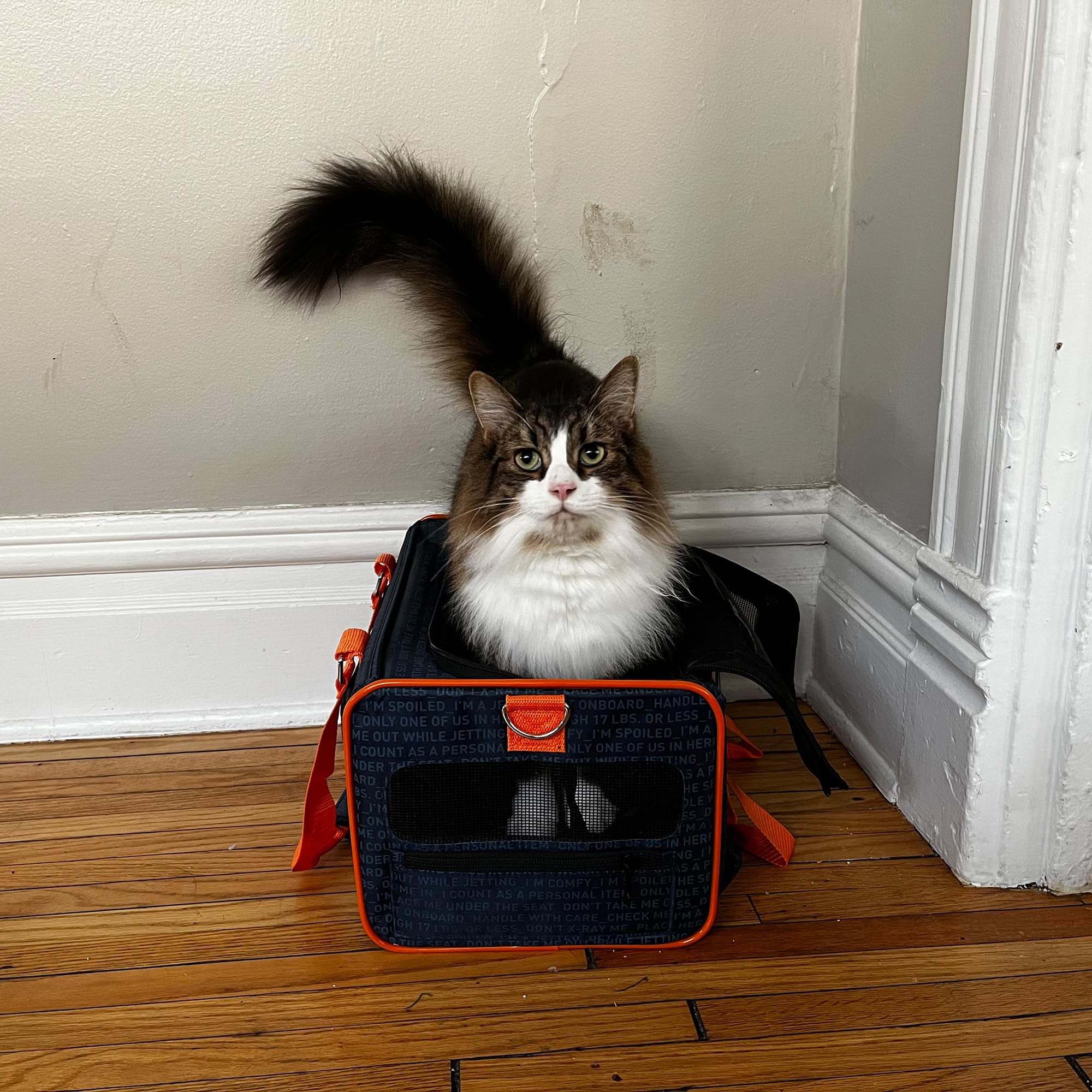 JetPaws Official Pet Carrier of JetBlue Airlines Blue 16 inches