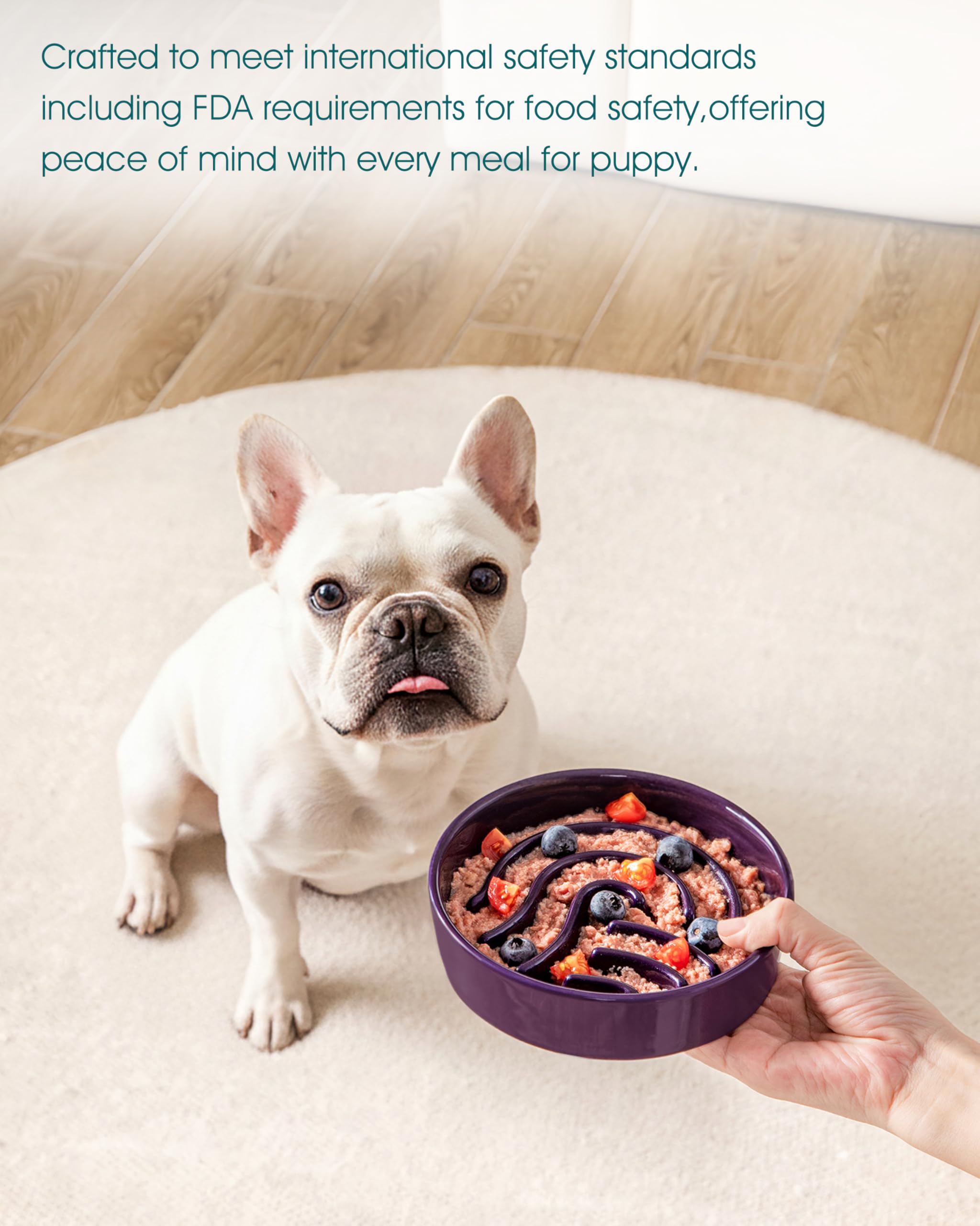 vancasso Slow Feeder Dog Bowl, 0.6 Cup Ceramic Slow Feeding Food Dish for Small Breed, Puzzle Dog Food Bowl for Fast Eater, Dark