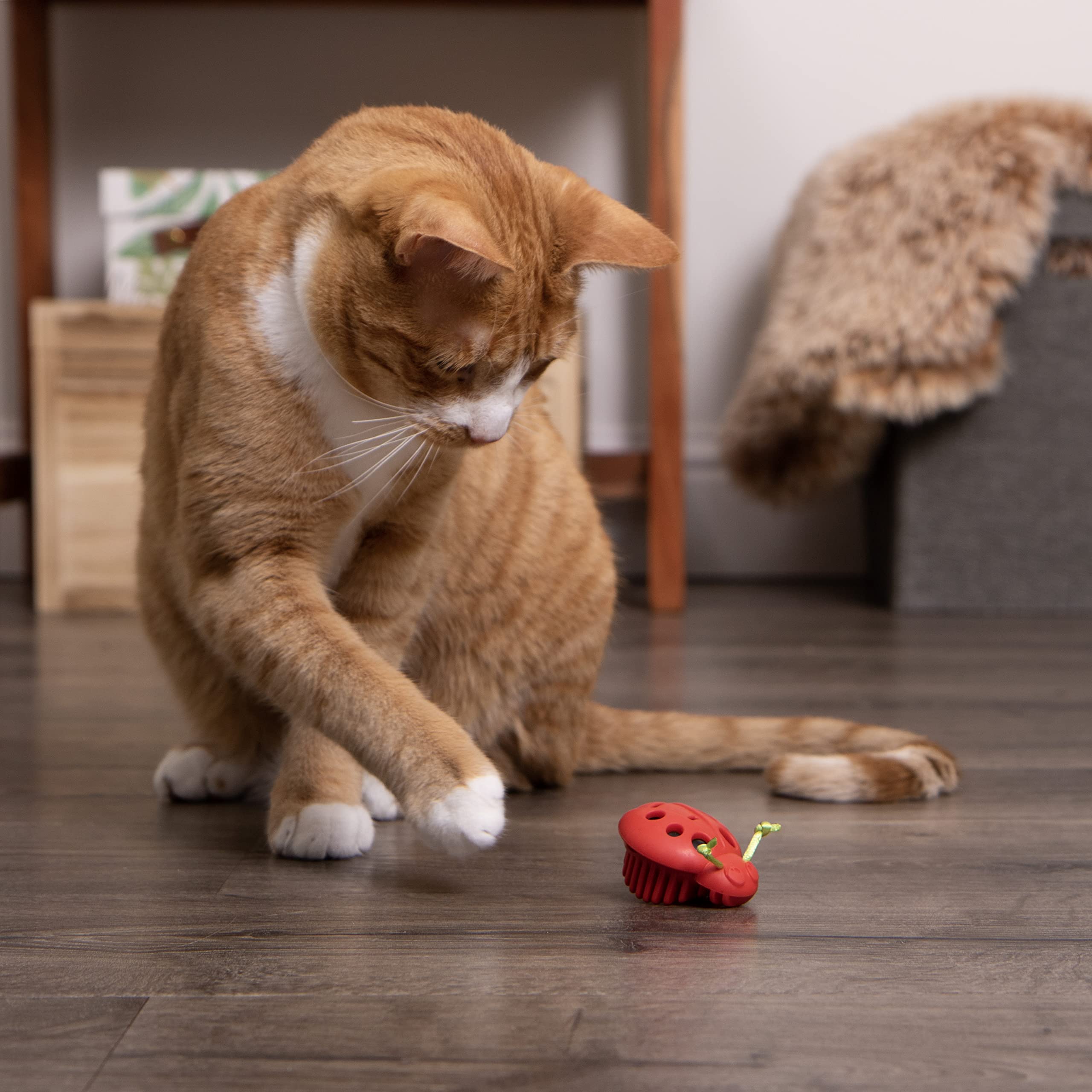Smartykat Instincts Rowdy Rumbler Ladybug Interactive Automatic Cat Toy, Battery-Powered - Red, One Size
