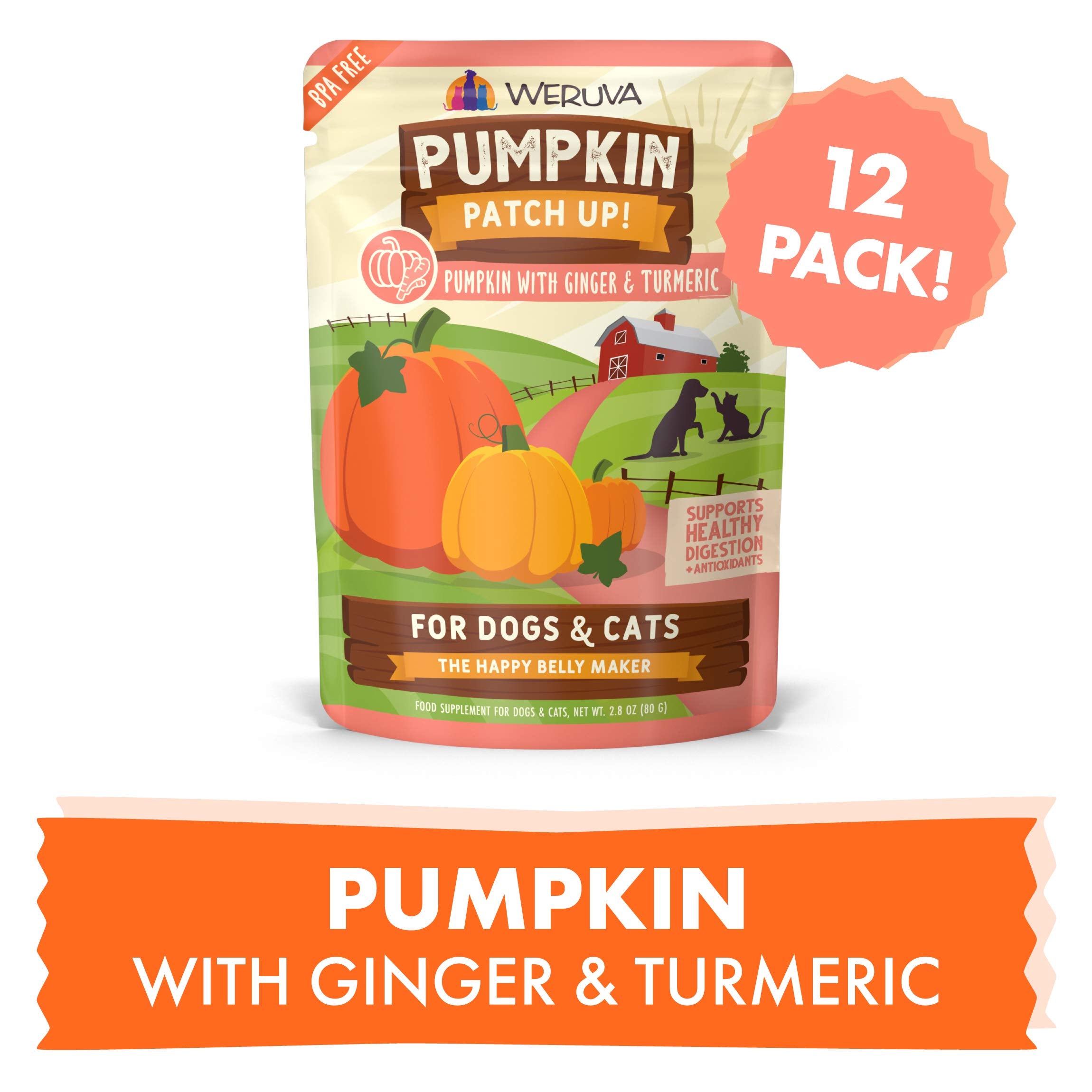 Weruva Pumpkin Patch Up!, Pumpkin with Ginger & Turmeric for Dogs & Cats, 2.8oz Pouch (Pack of 12)