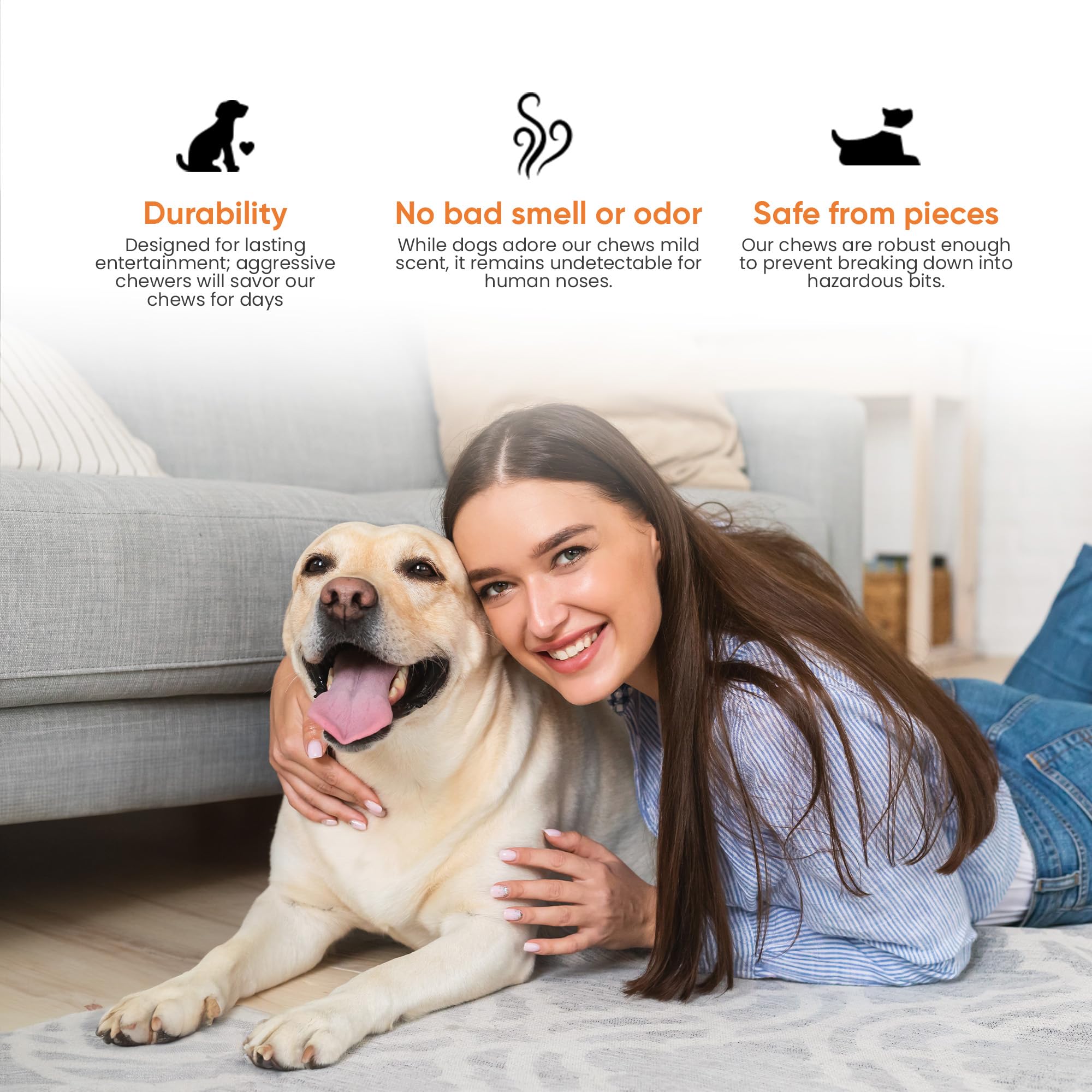 The Safe Dog Chew Company 100% Natural Cheese Chews for Medium Dogs - 15.8 oz Pack of 6, Long-Lasting, No Preservatives, Great Teeth Cleaner