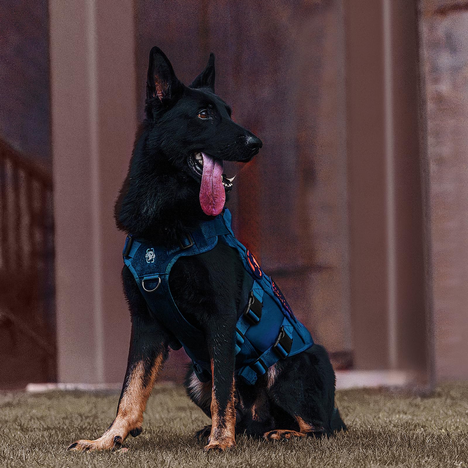Onetigris No Pull Tactical Dog Harness For Small Medium Dog, Mesh Design Service Dog Vest Breathable Military Dog Molle Vests Wi