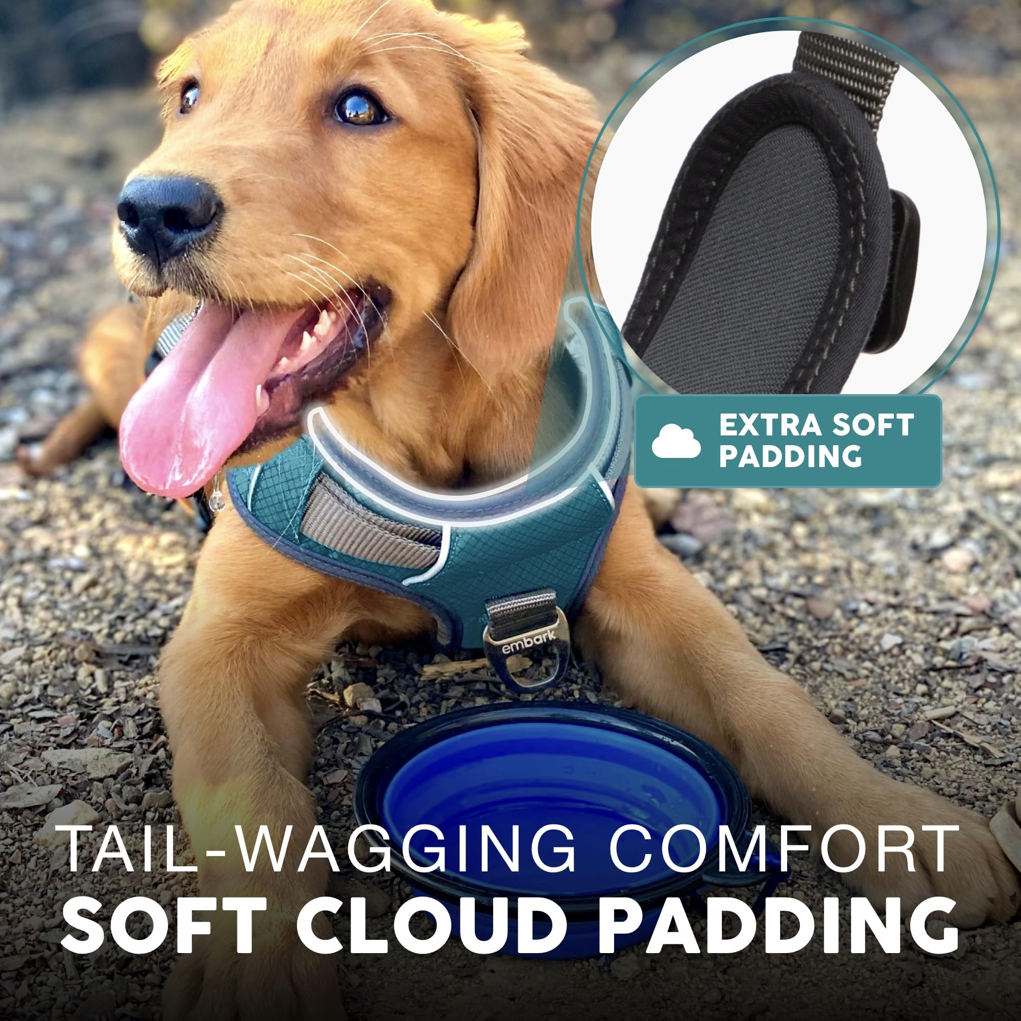 Embark Adventure Dog Harness No-Pull Dog Harness For Small Dogs, Medium & Large. 2 Leash Clips, Front & Back With Control Handle, Adjustable Blue Dog Vest For Any Breed, Soft & Padded For Comfort