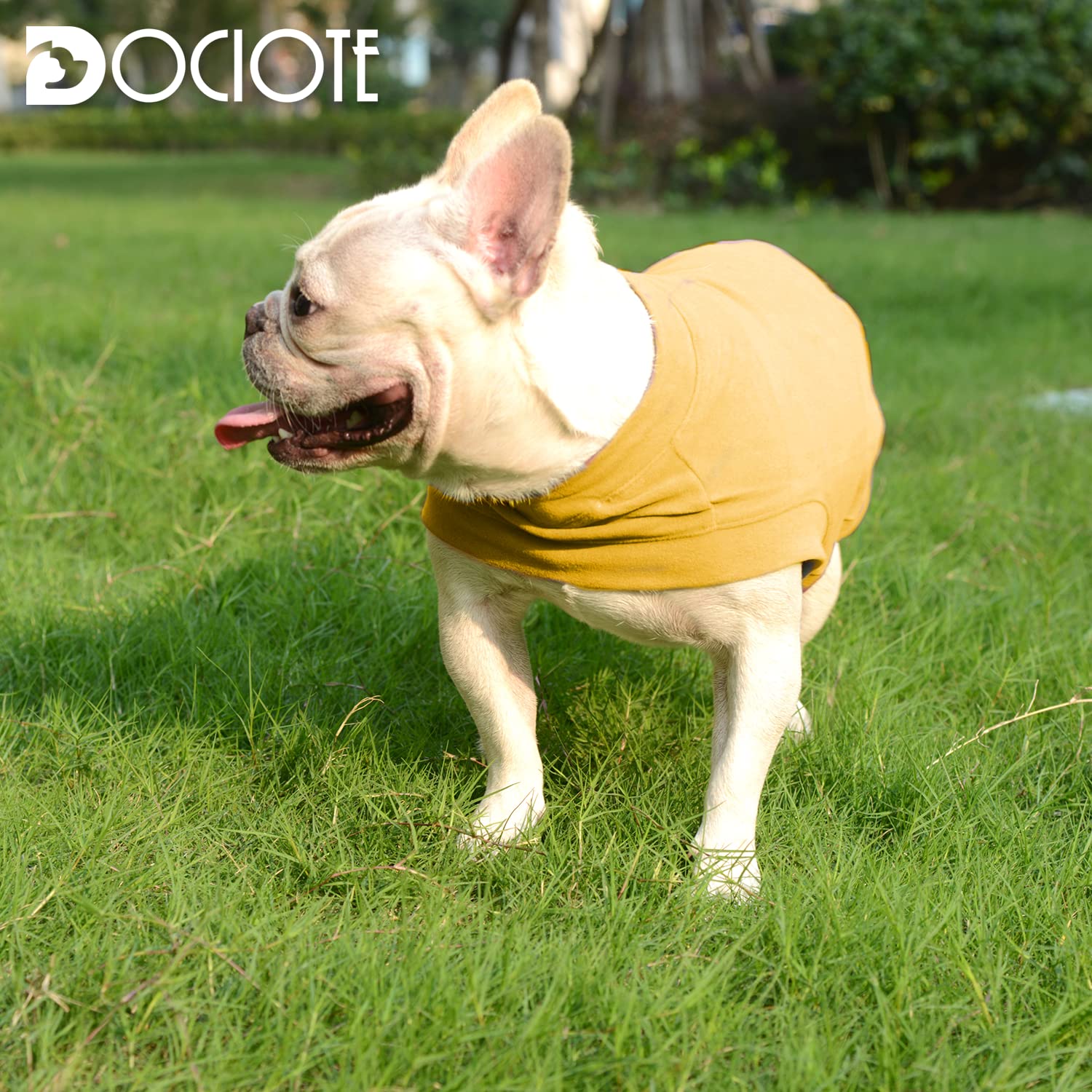 Soft Fleece Dog Sweatshirt - Warm Dog Sweaters For Small Medium Dogs Cats Cold Weather - Cat Sweater Pullover Stretchy Hoodie Ea