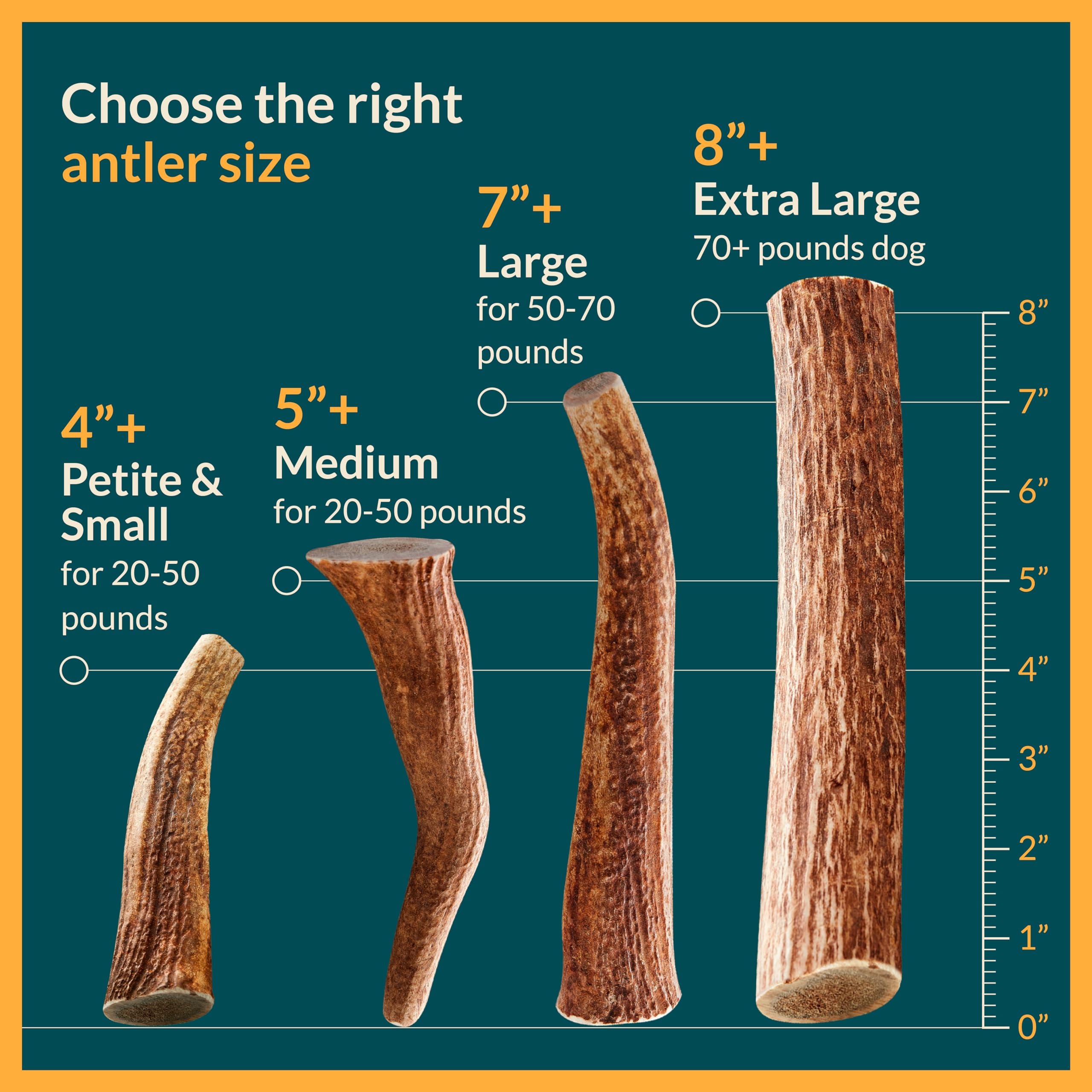 REXIPETS 100% Natural - Elk Antlers for Dogs - Naturally Shed in USA - Long Lasting Chews for Aggressive Chewers - Natural, Real