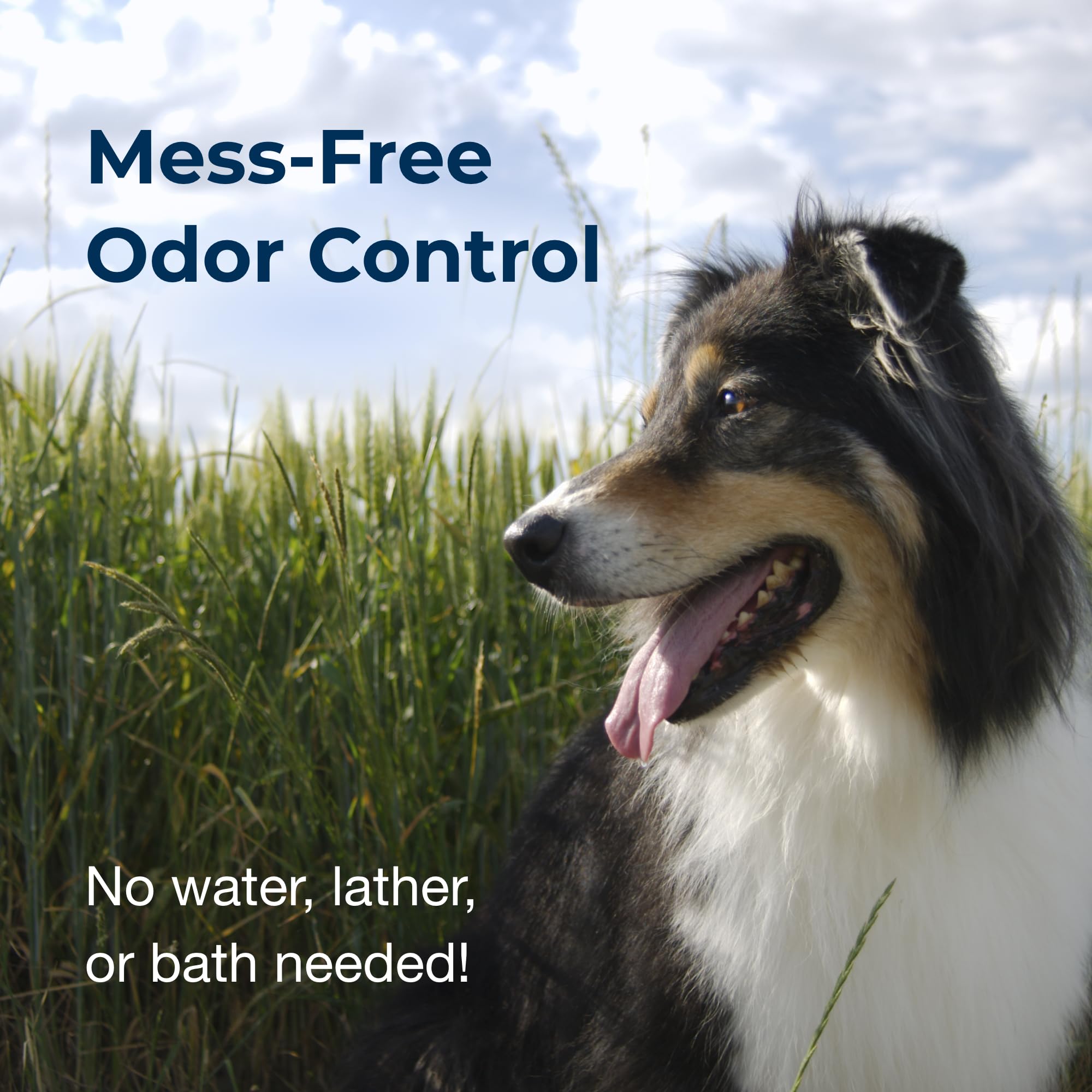 Fresh N Clean Dog Cologne Spray - Original Floral Scent 12 Oz - Pack Of 2
