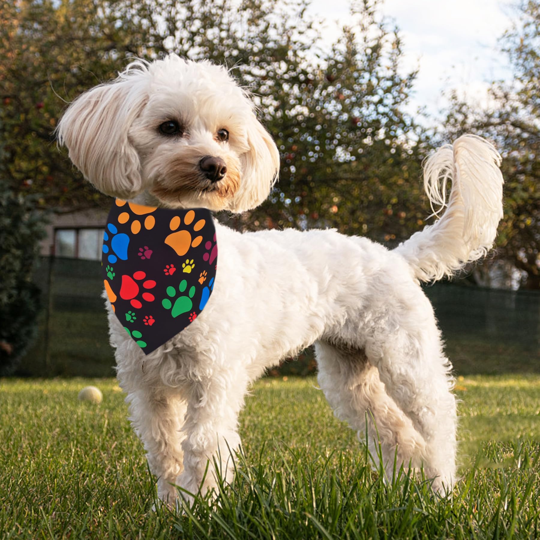 Pai Sence 7 Pcs Paw Print Dog Bandanas For Small Dog Kittens 18 Inch Polyester Dogs Bandana For Puppy Doggy Xs Scarves Party Gro