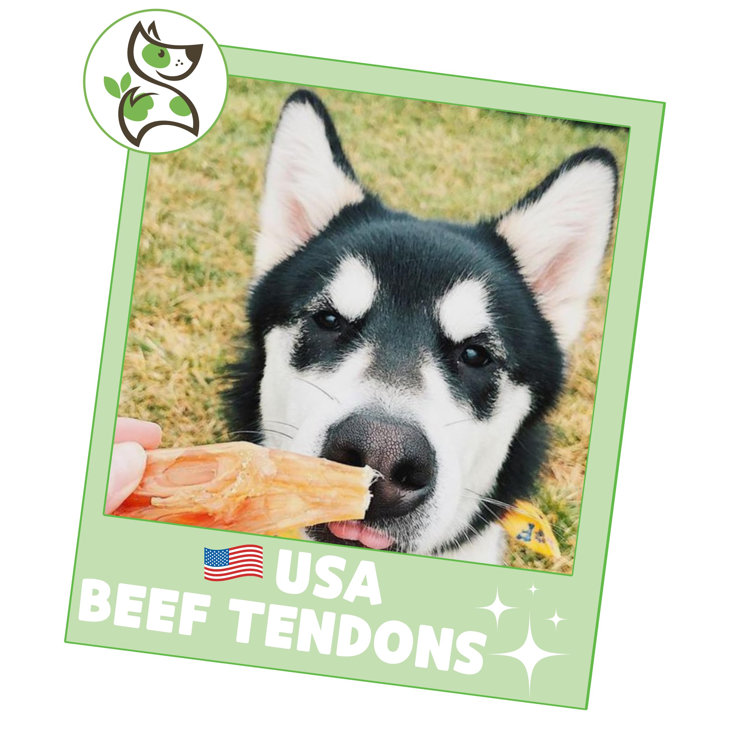 Nature Gnaws USA Beef Tendons for Dogs (8oz) - Mixed Thickness - Long Lasting for Aggressive Chewers - Premium Natural Beef Dog