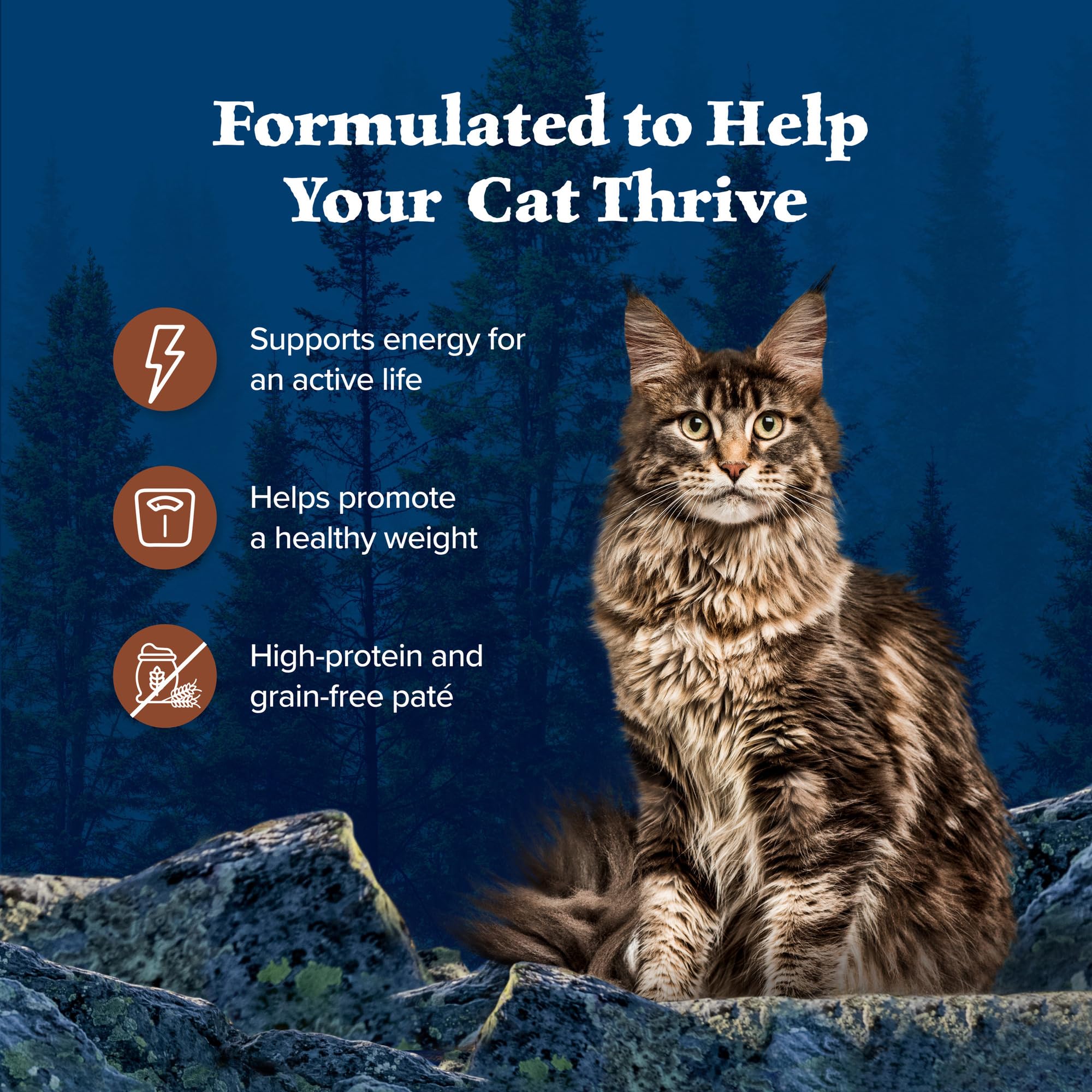 Blue Buffalo Wilderness Natural High-Protein Grain-Free Wet Food for Adult Cats, Turkey Pat  , 5.5-oz. Cans, 24 Count
