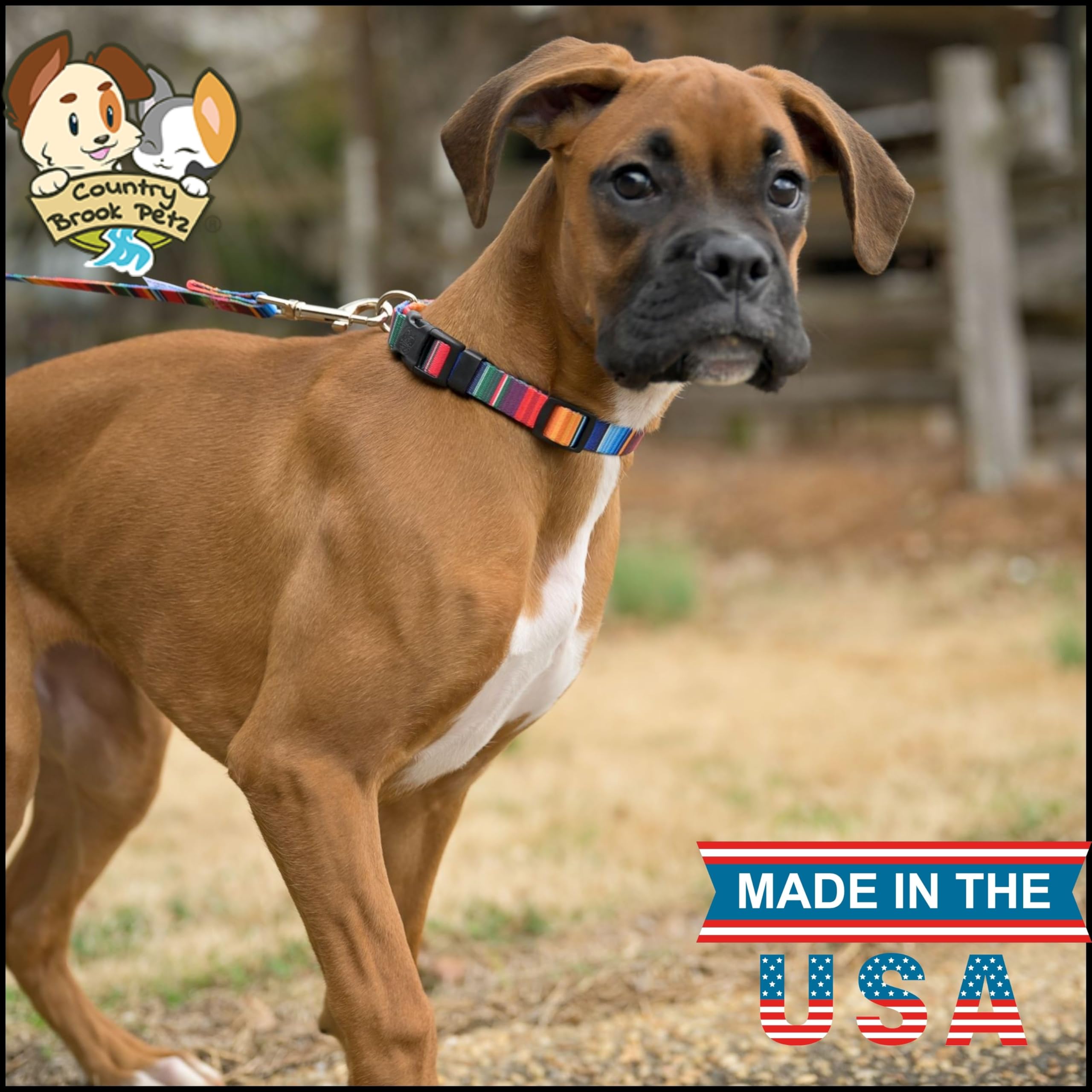 Country Brook Petz - Deluxe Serape Dog Collar - Made in The U.S.A. - Country and Western Collection Featuring Rustic Designs (1/