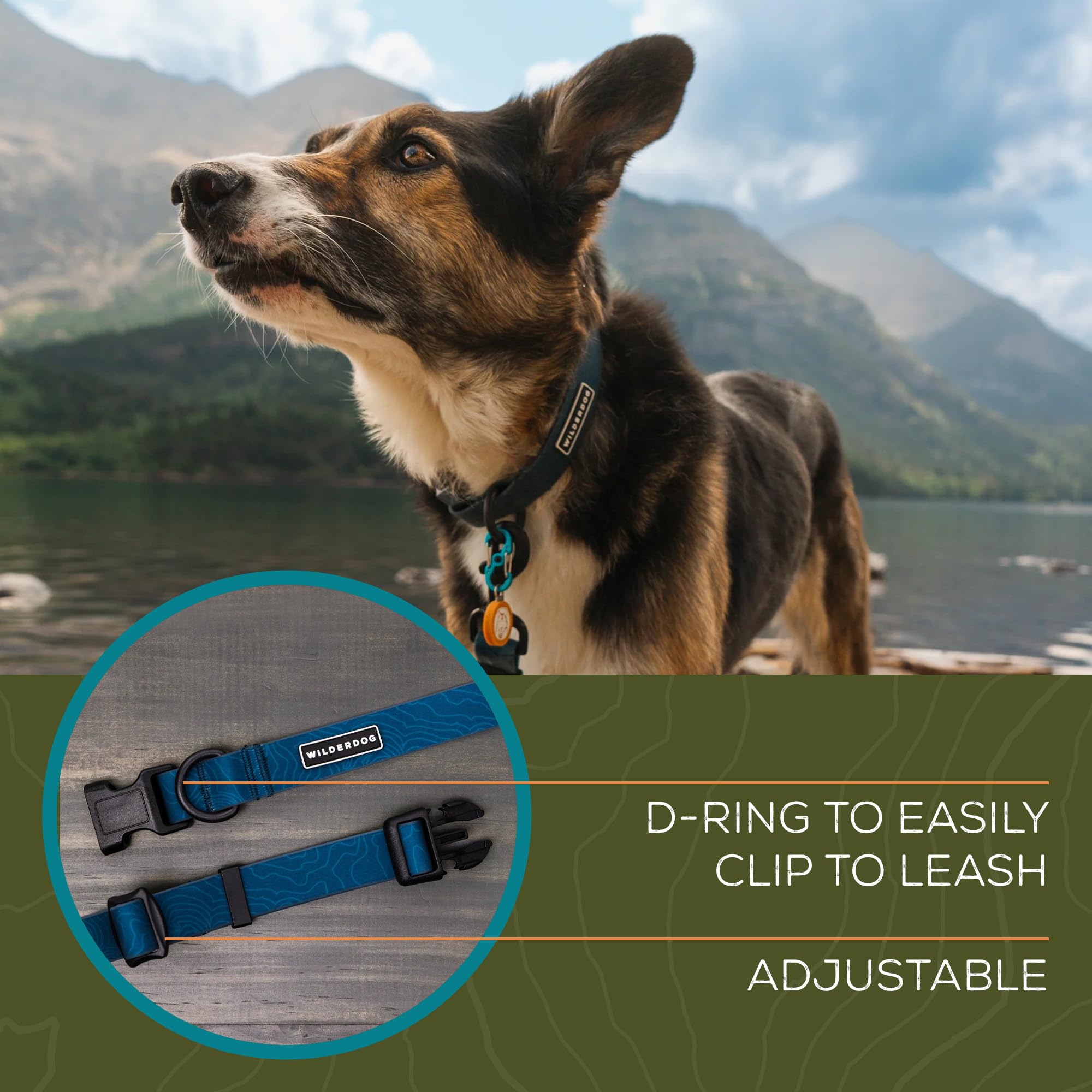 Wilderdog Waterproof Dog Collar - Repels Water & Dirt - Small 11''-15'' - Pacific Blue